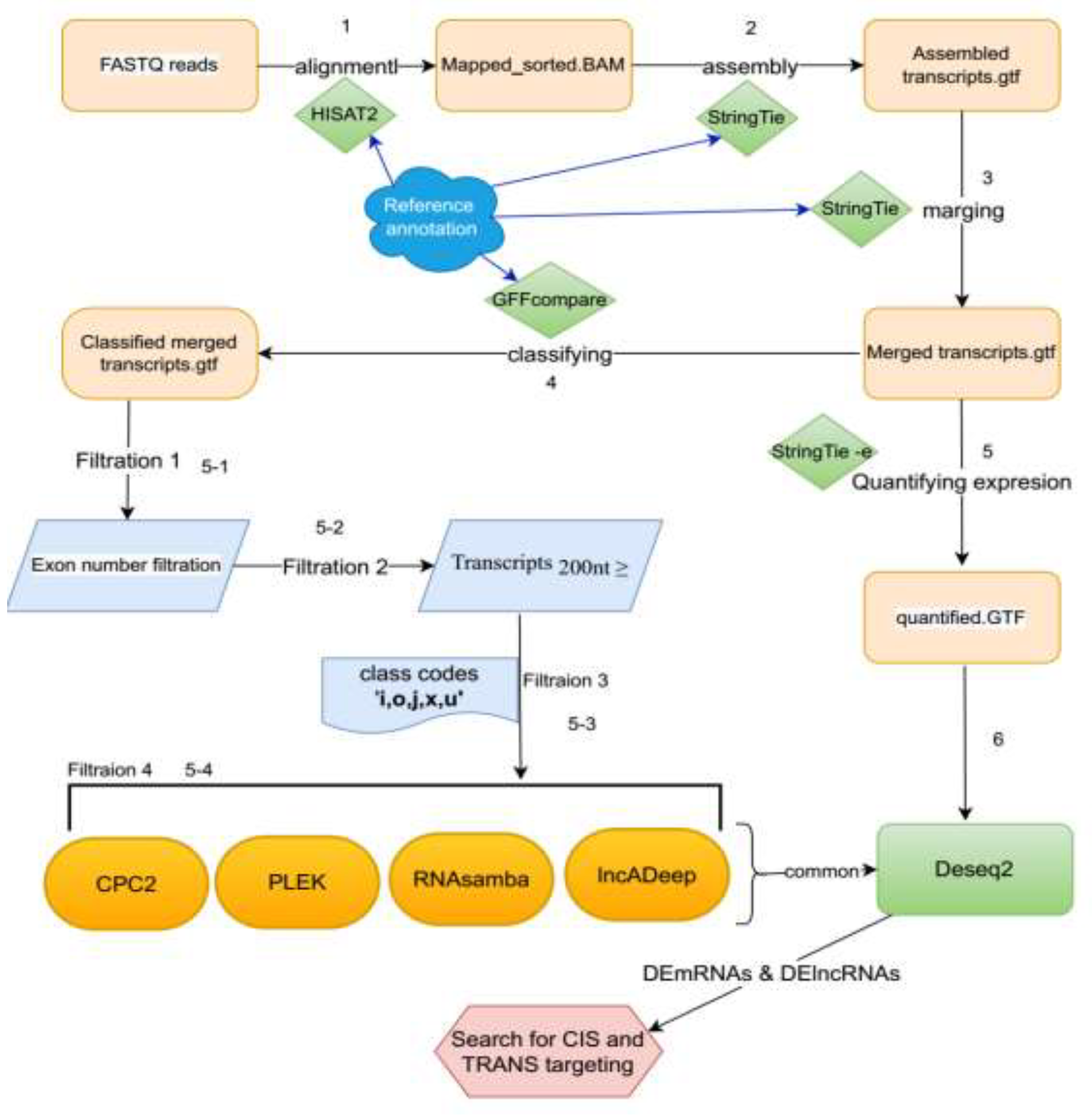 Preprints 106264 g001