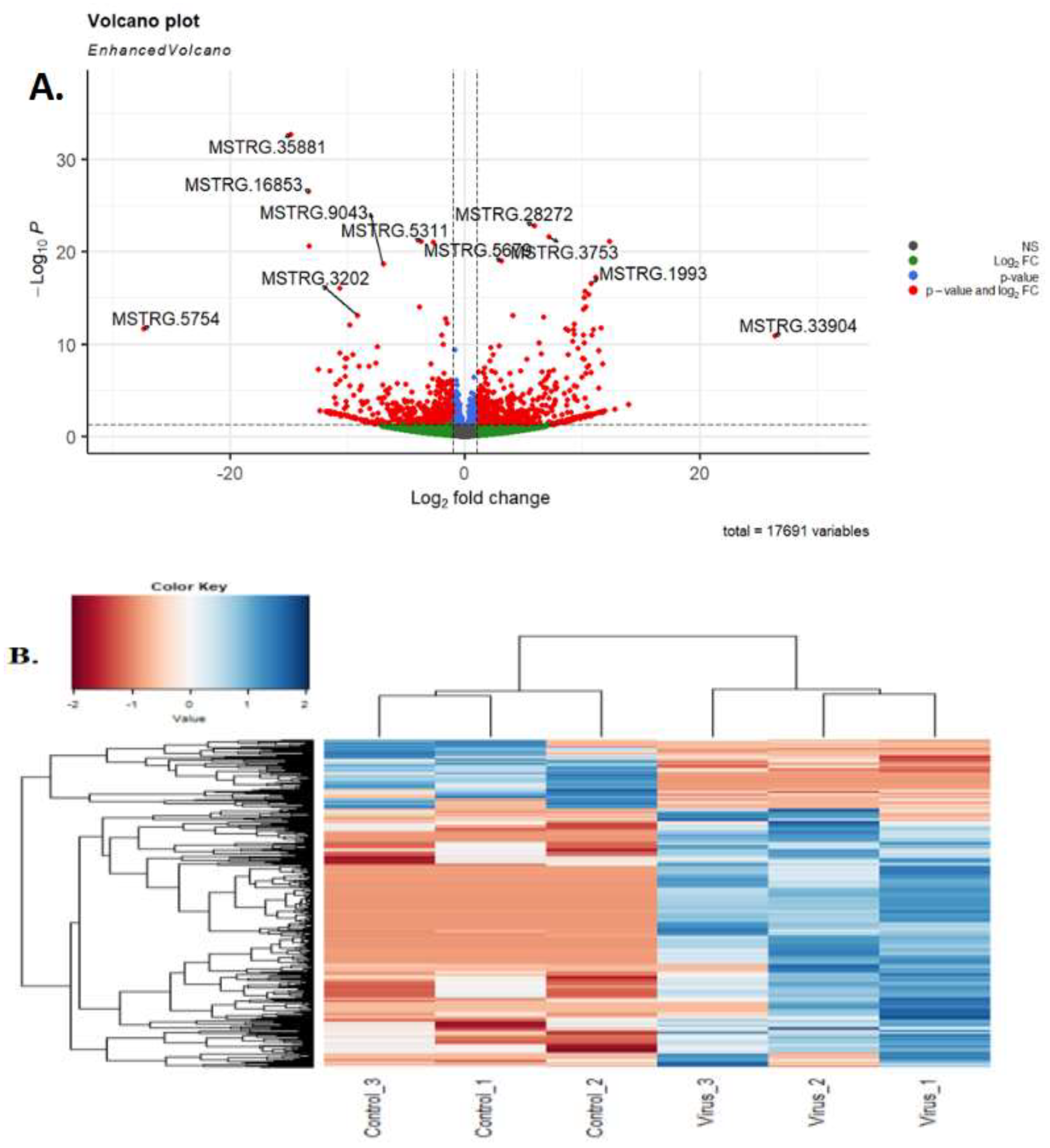 Preprints 106264 g003a