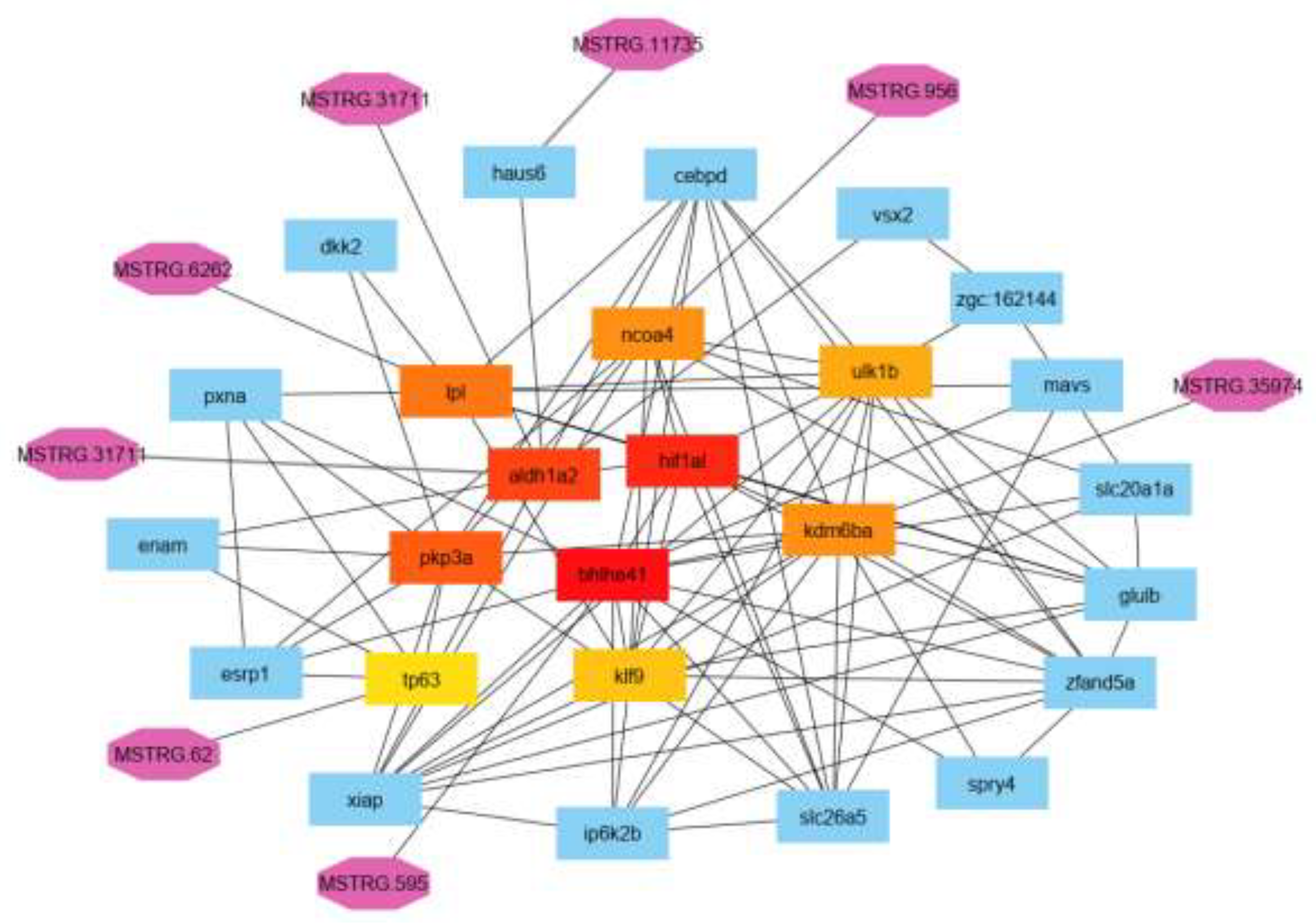 Preprints 106264 g004