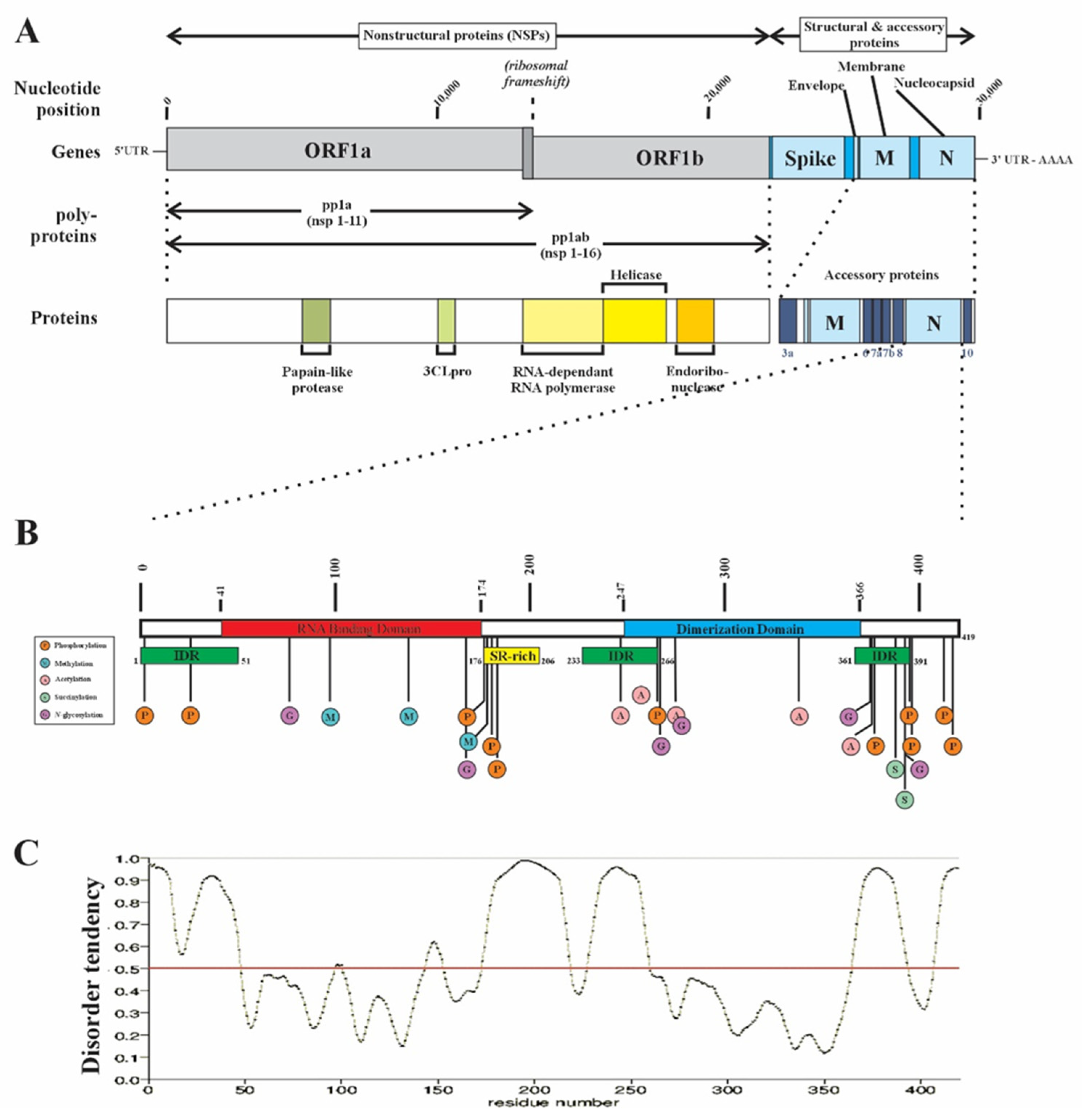 Preprints 111188 g001