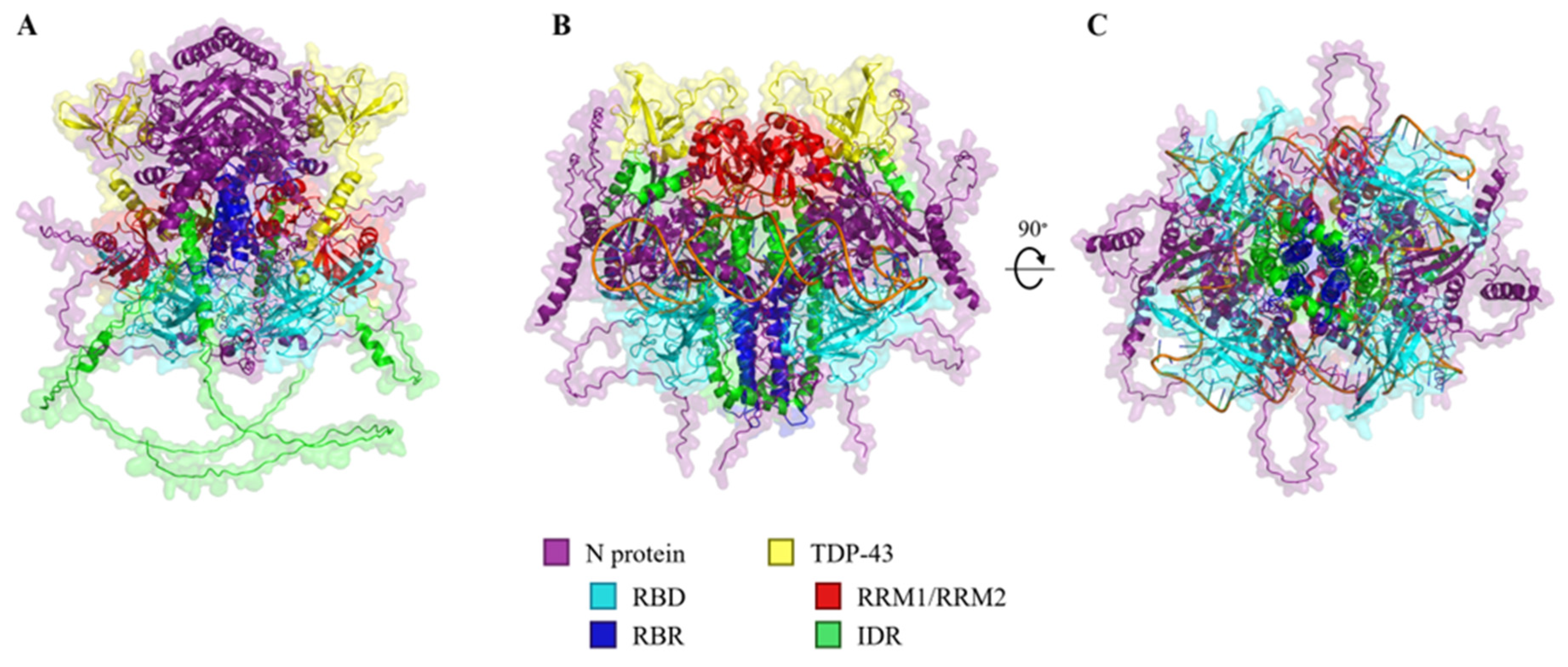 Preprints 111188 g004