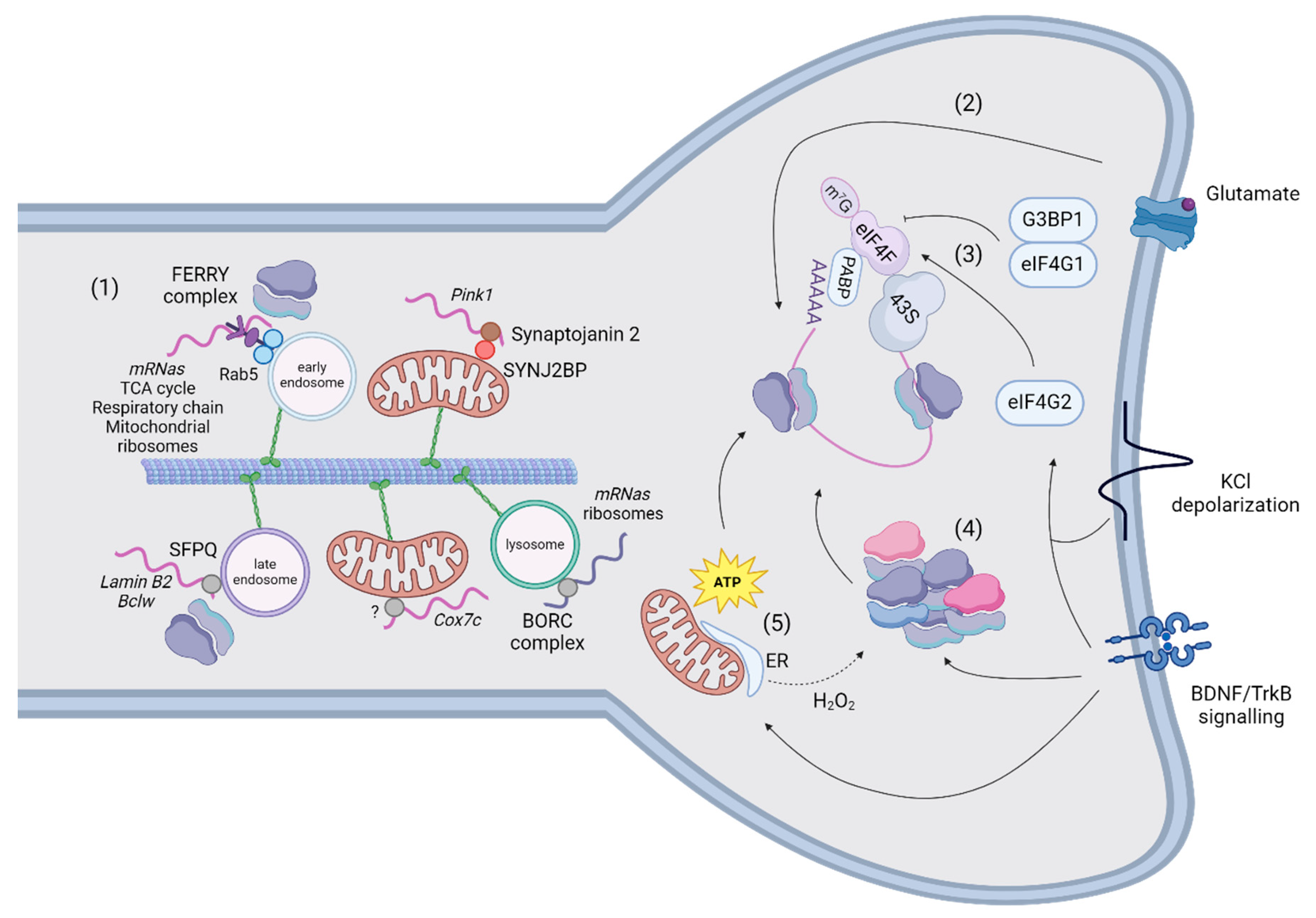 Preprints 115182 g004