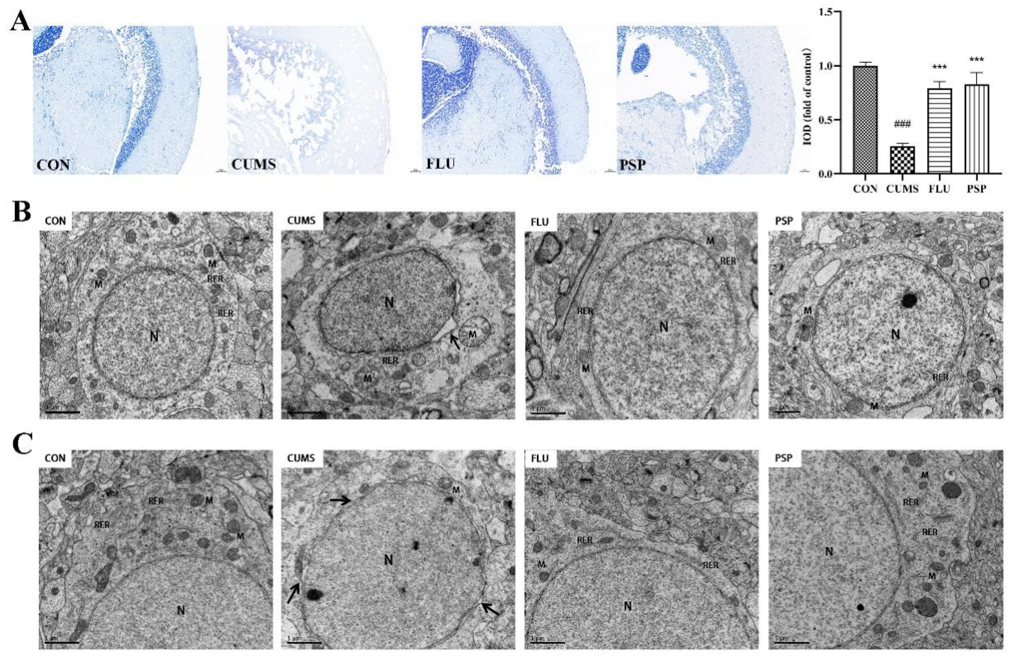 Preprints 94590 g005