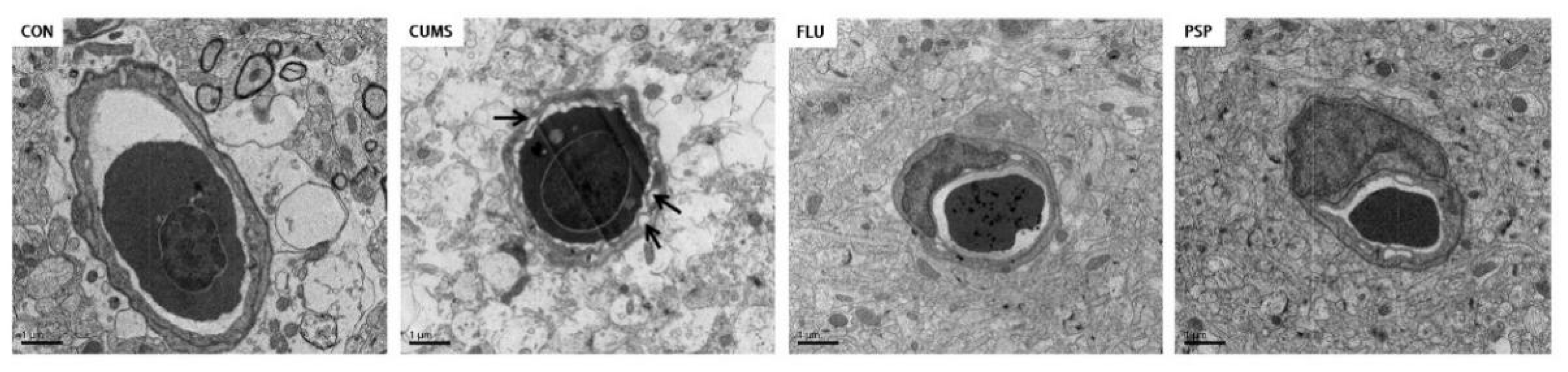 Preprints 94590 g006