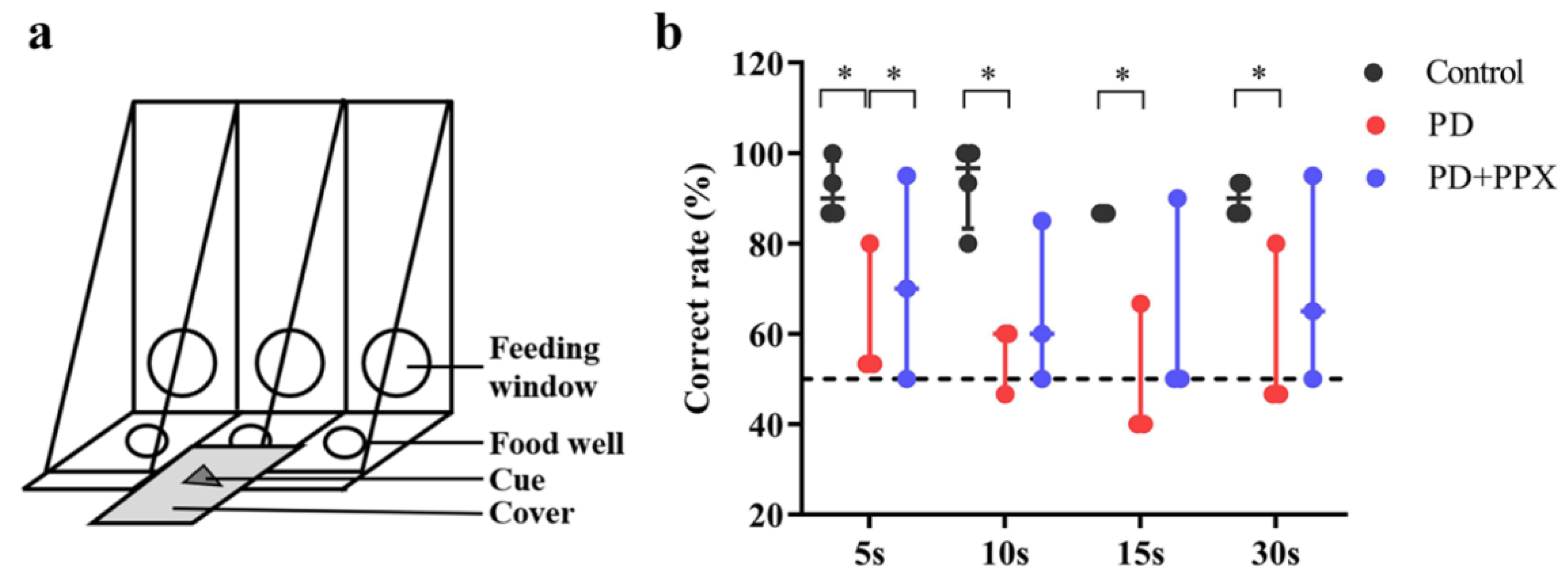 Preprints 75970 g001