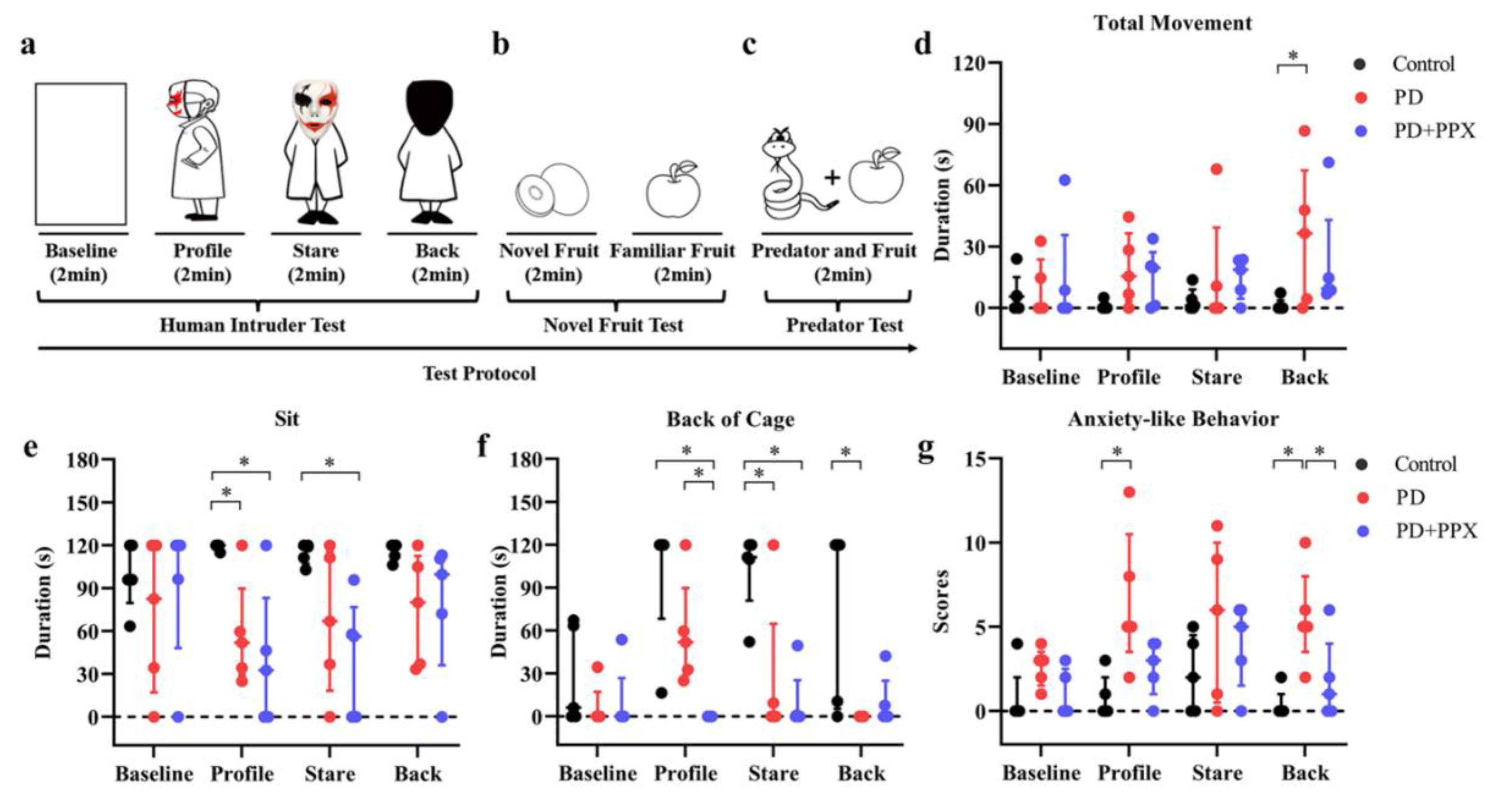 Preprints 75970 g004