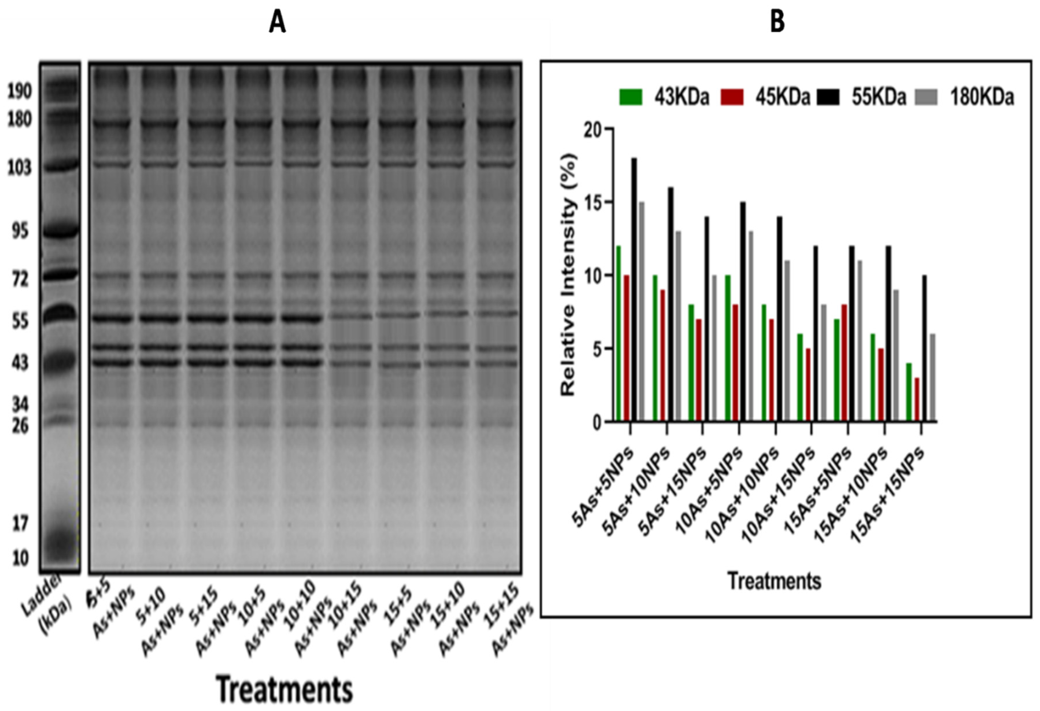 Preprints 81502 g003