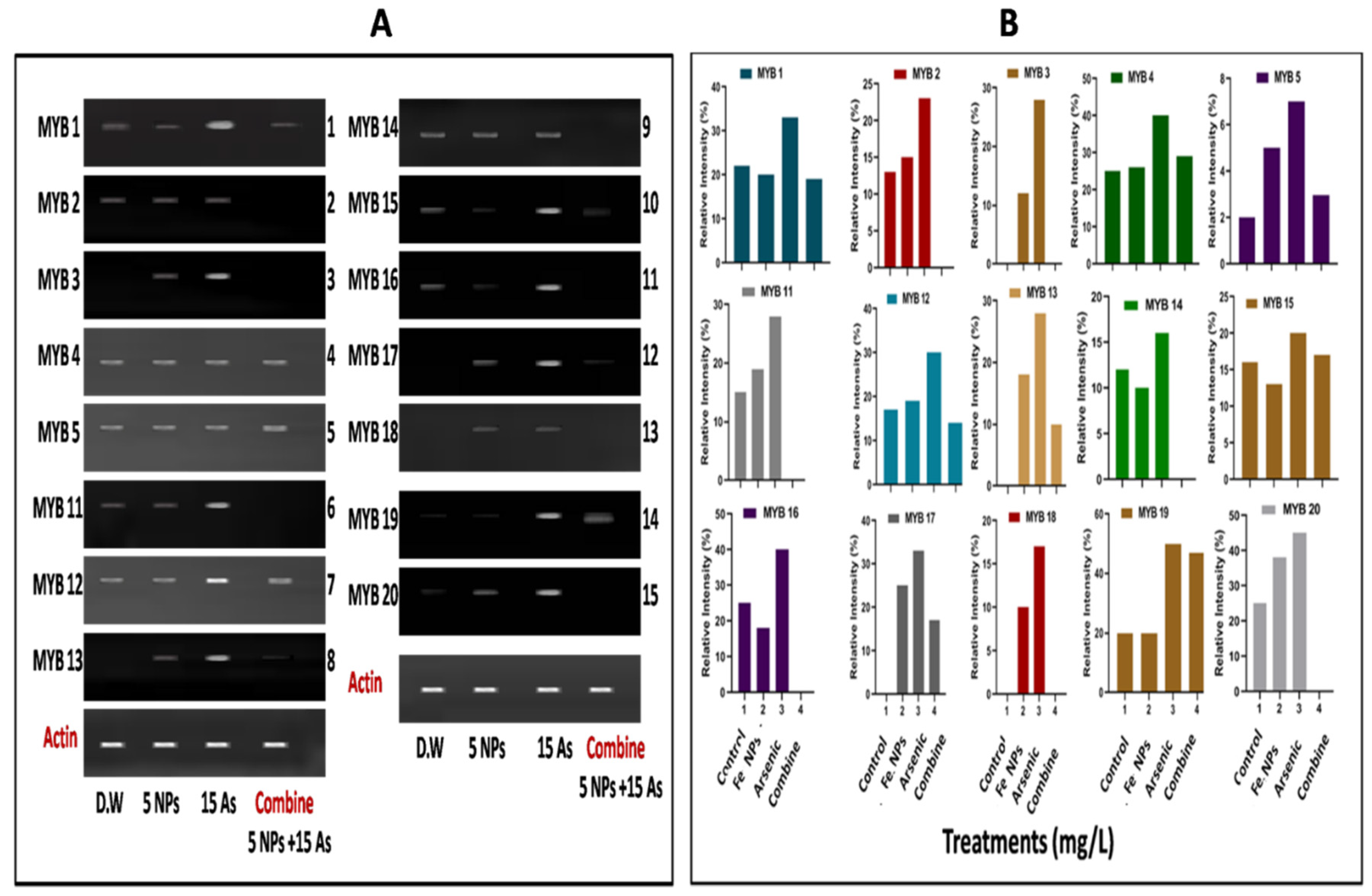 Preprints 81502 g004