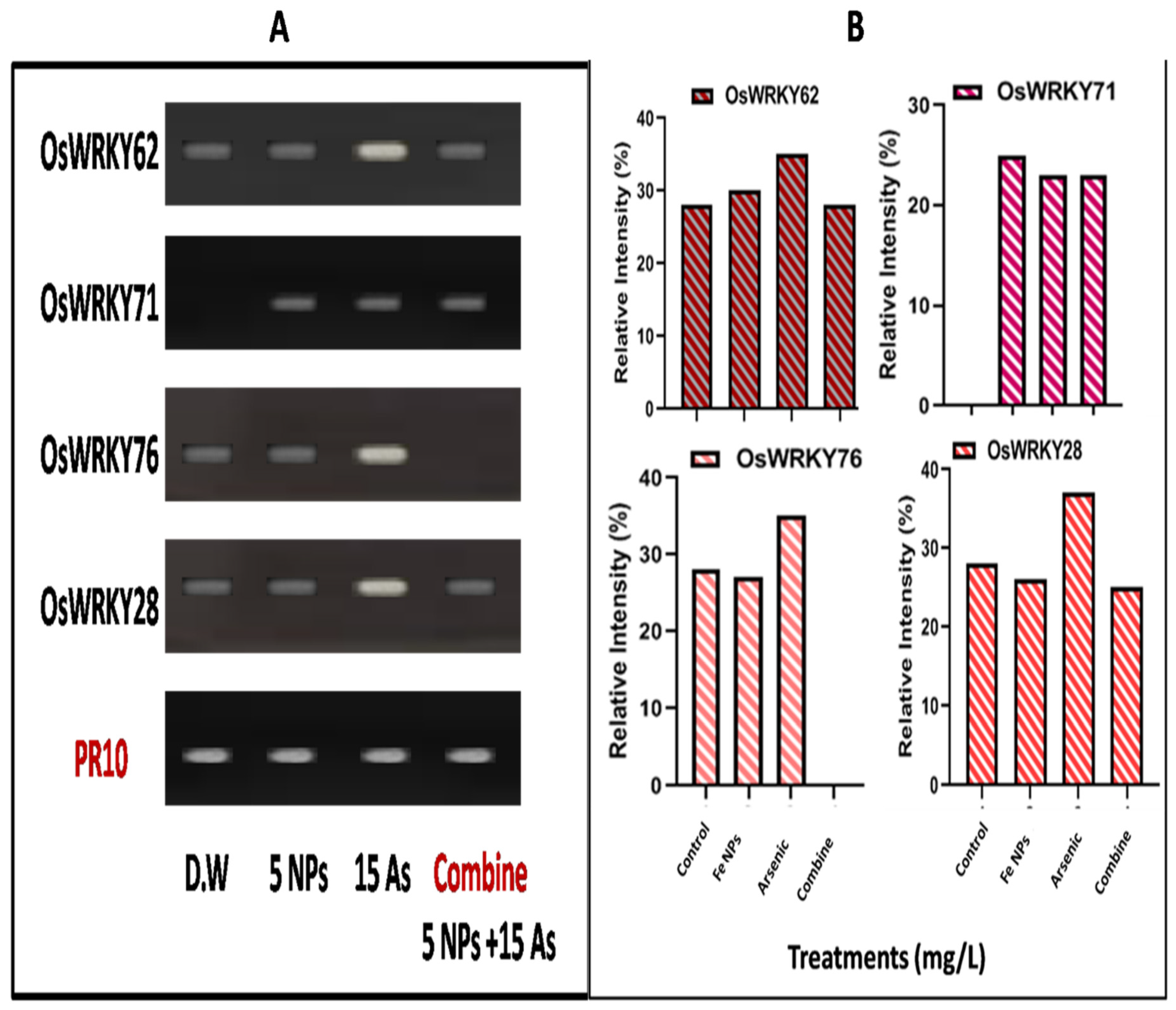 Preprints 81502 g005