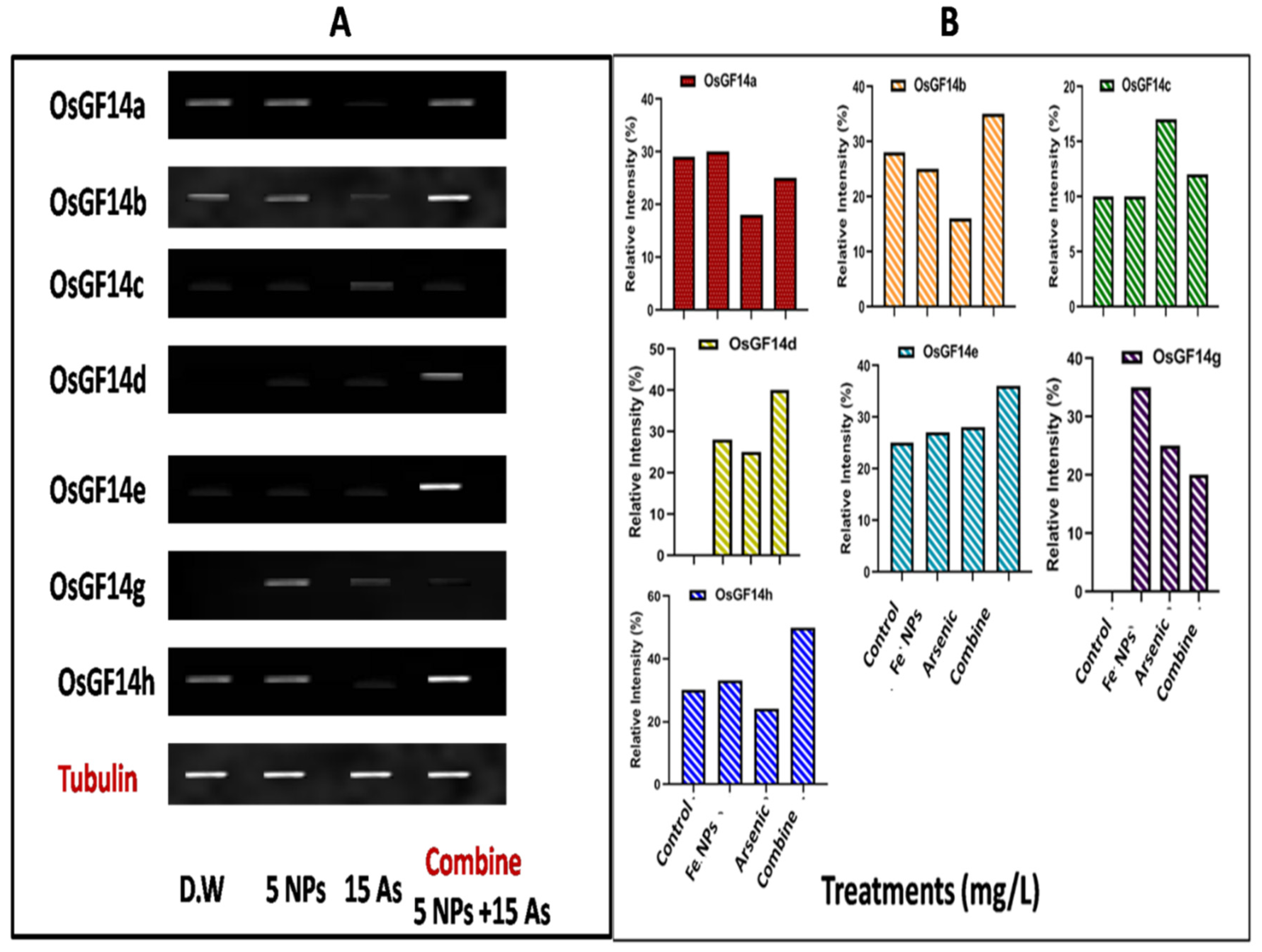 Preprints 81502 g006