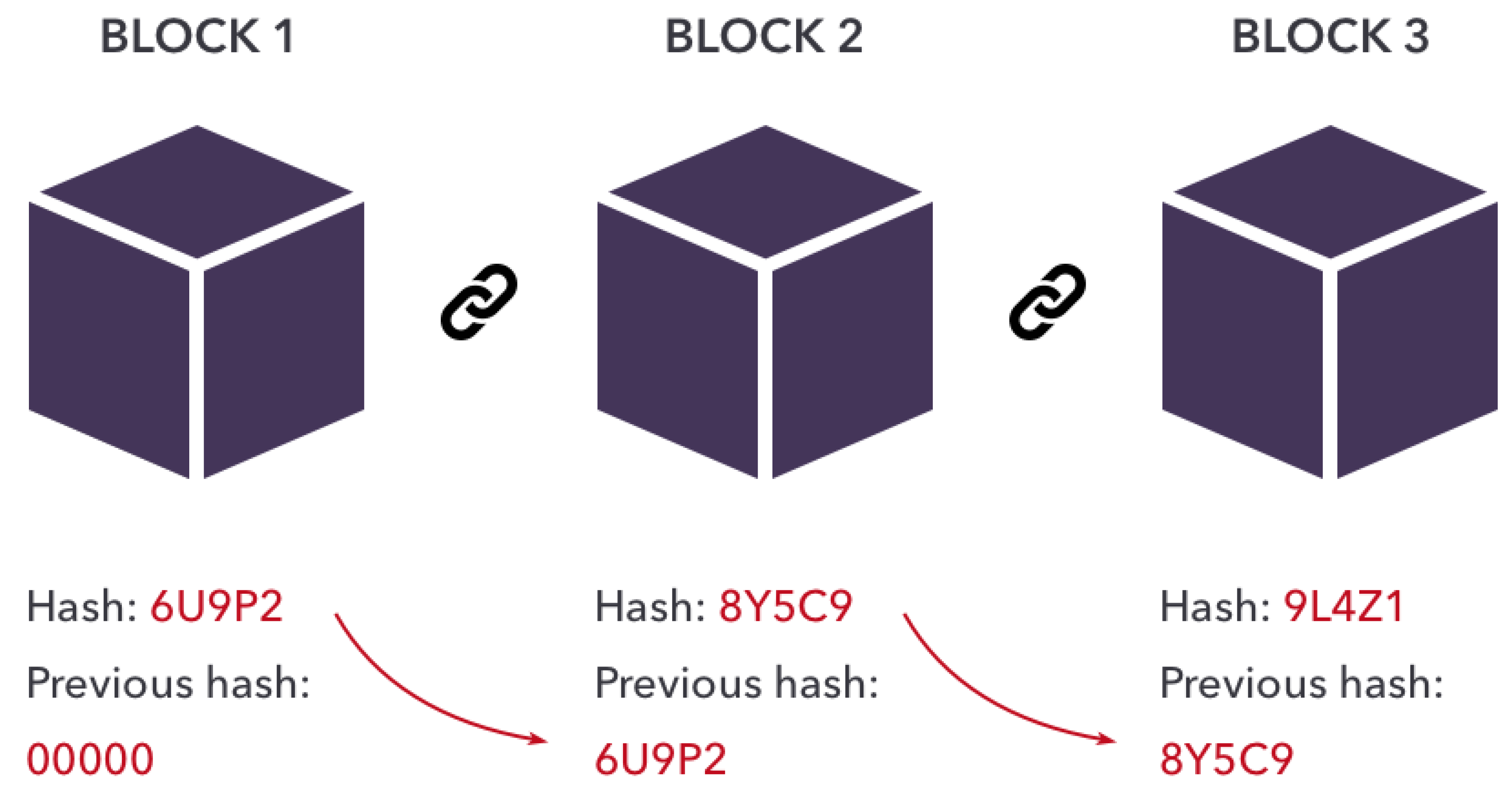 Preprints 102090 g003