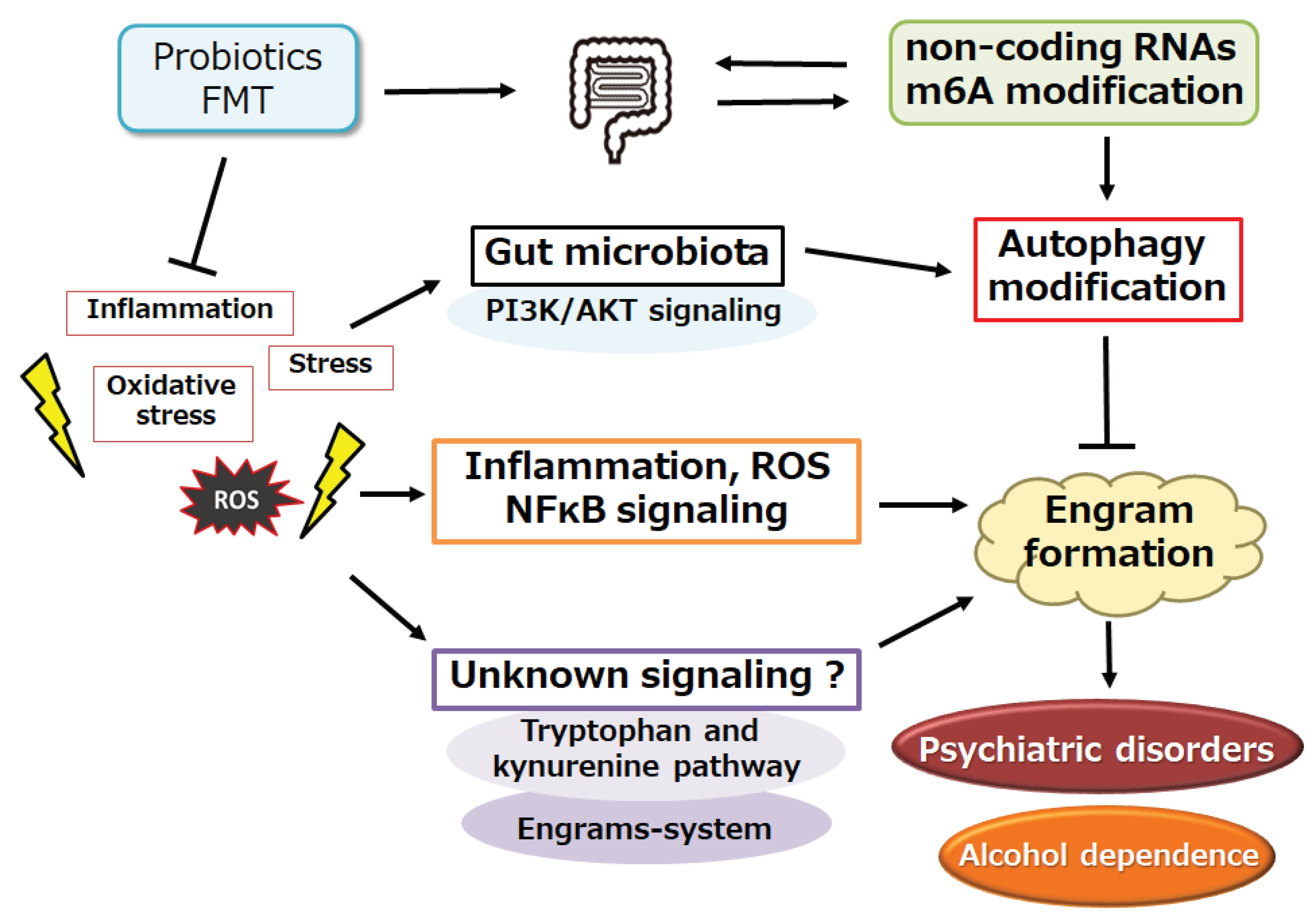 Preprints 99363 g002