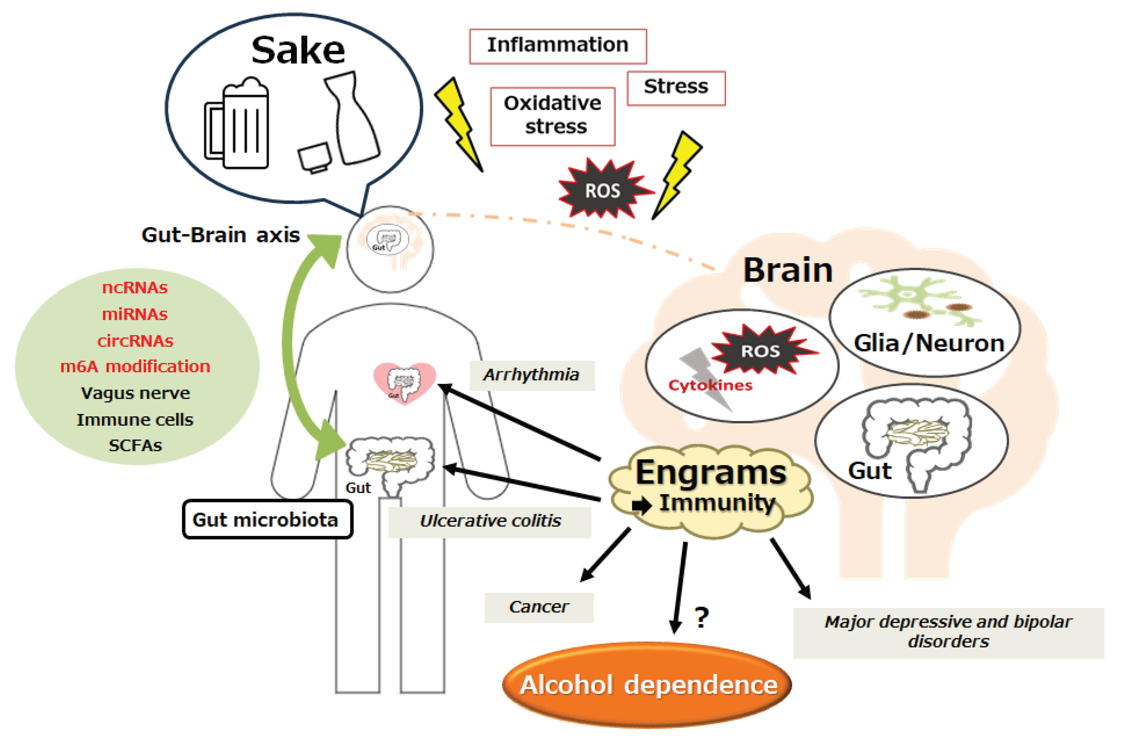 Preprints 99363 g003