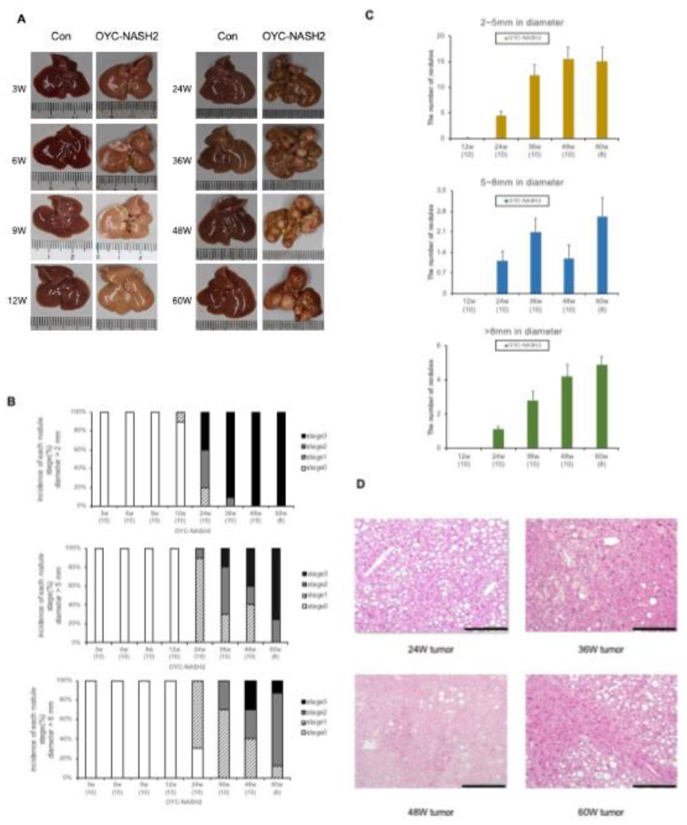 Preprints 72433 g001