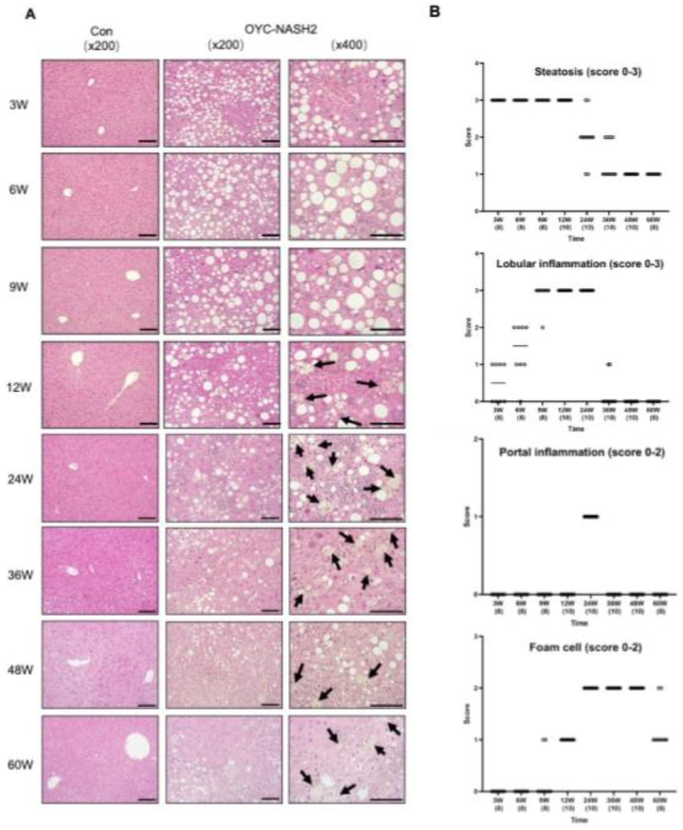 Preprints 72433 g002