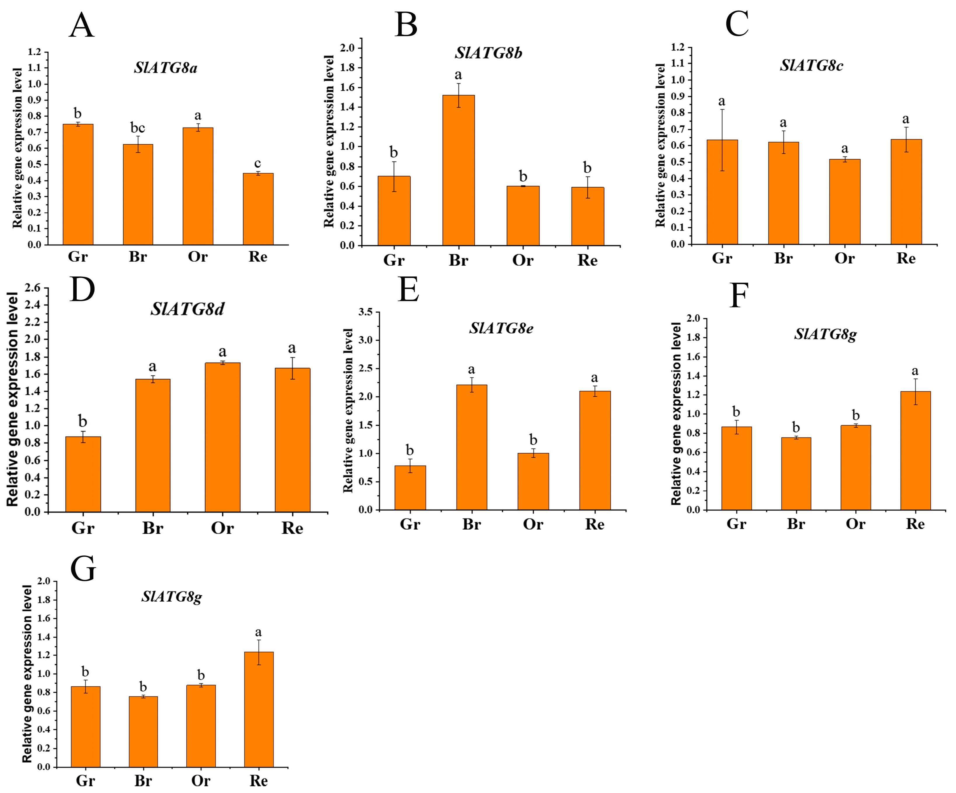 Preprints 84397 g001