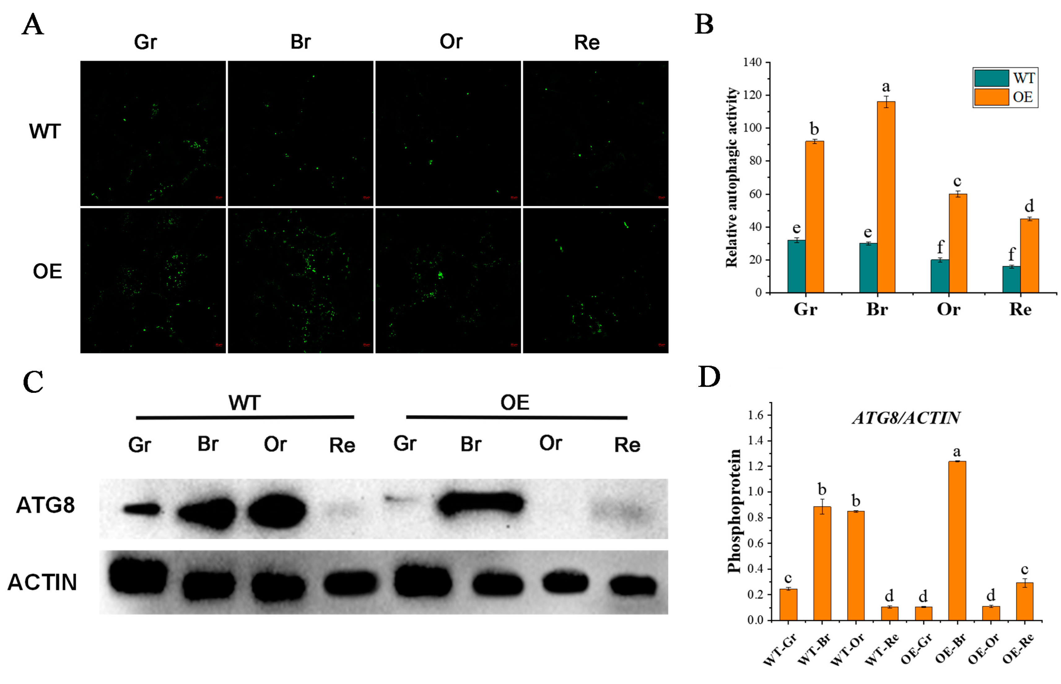 Preprints 84397 g003