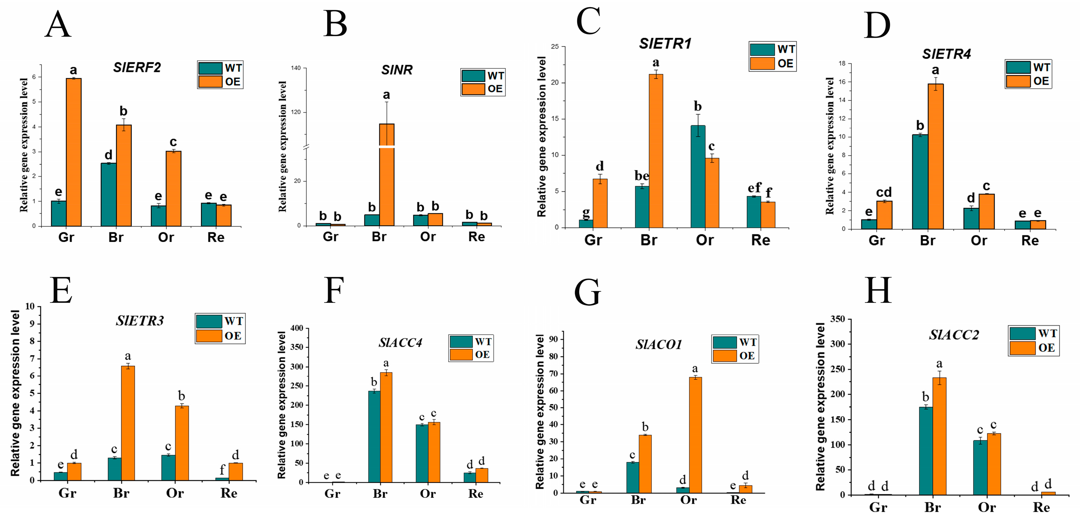 Preprints 84397 g005