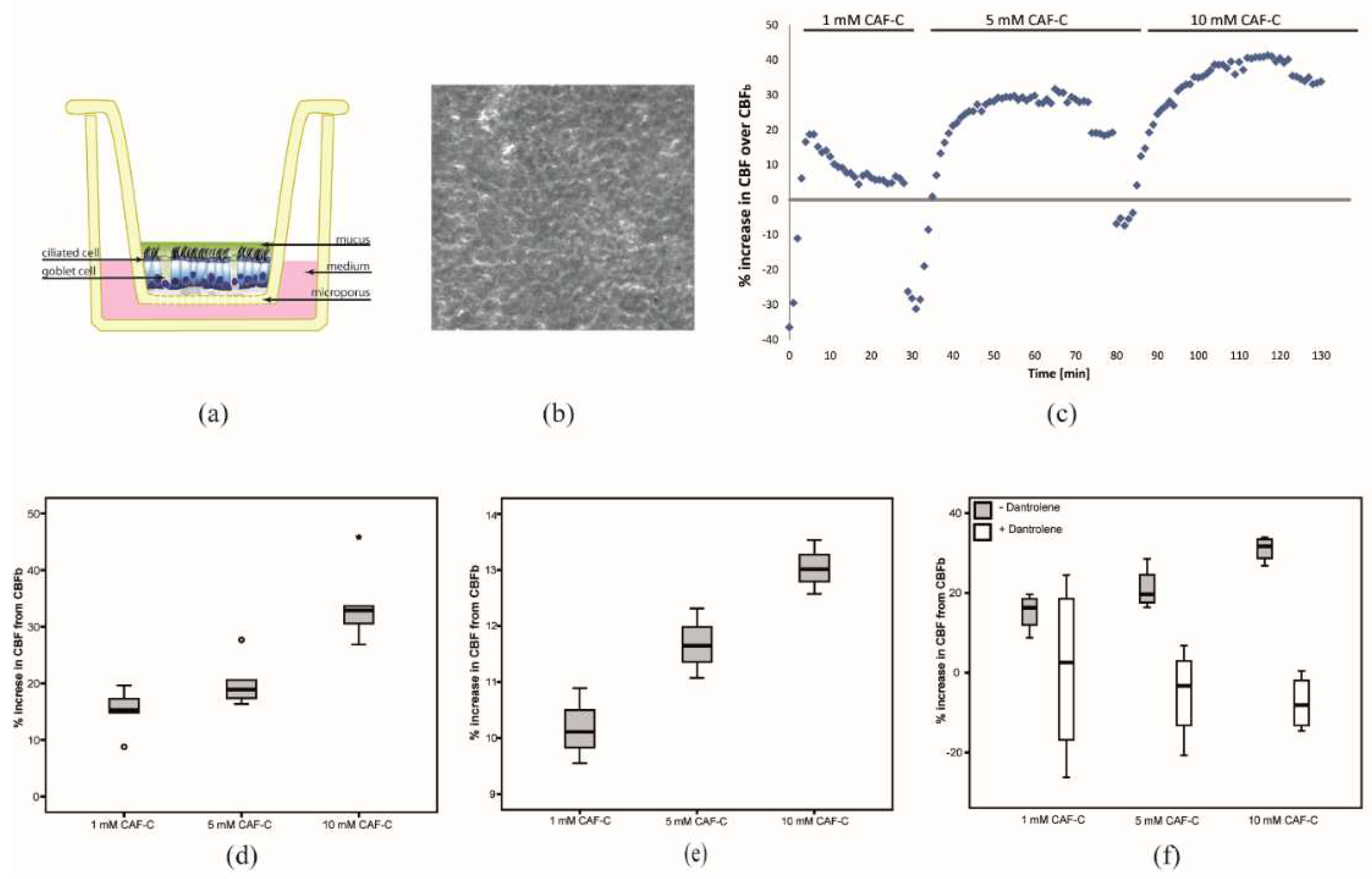 Preprints 71058 g001