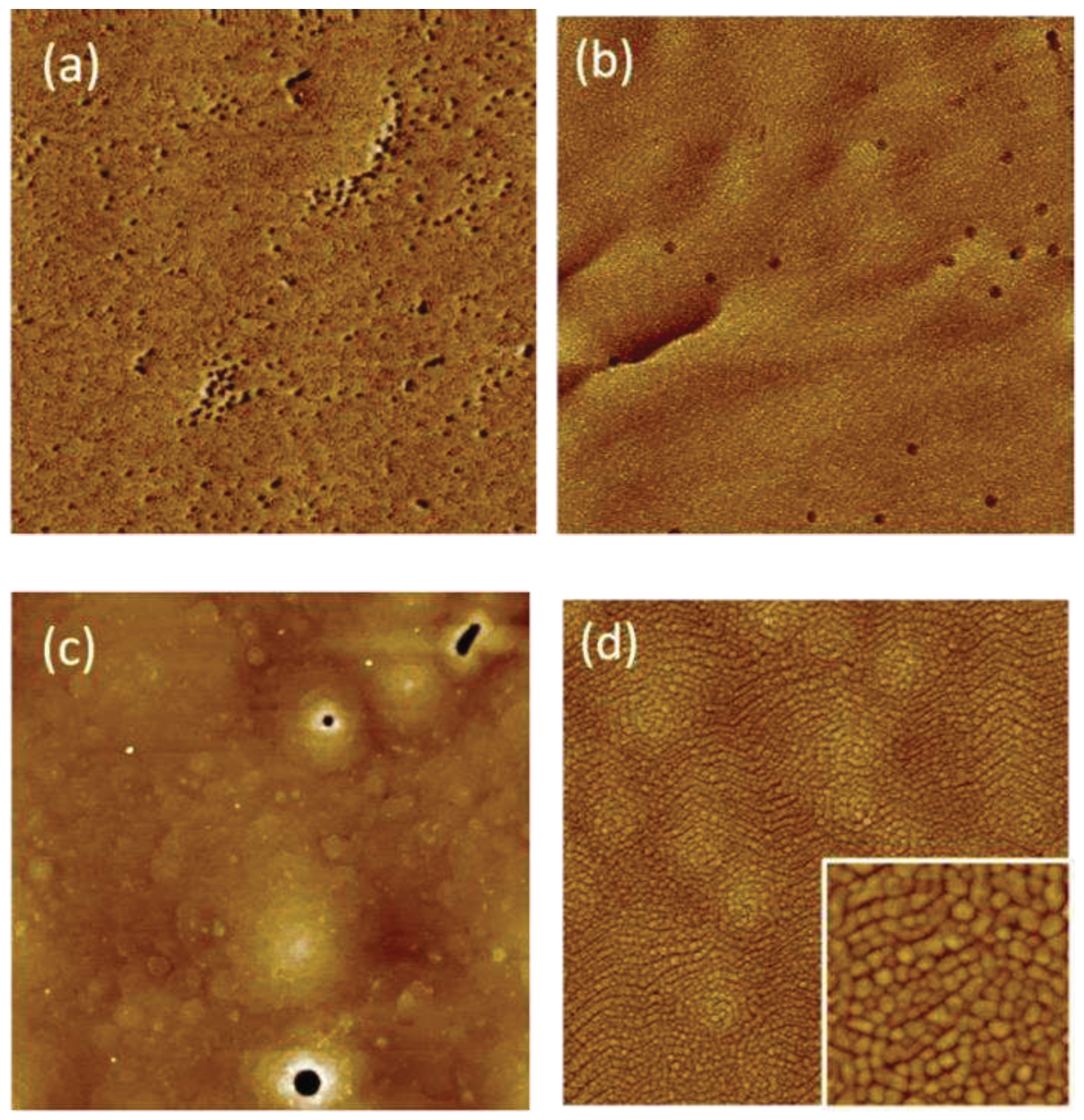 Preprints 98551 g001