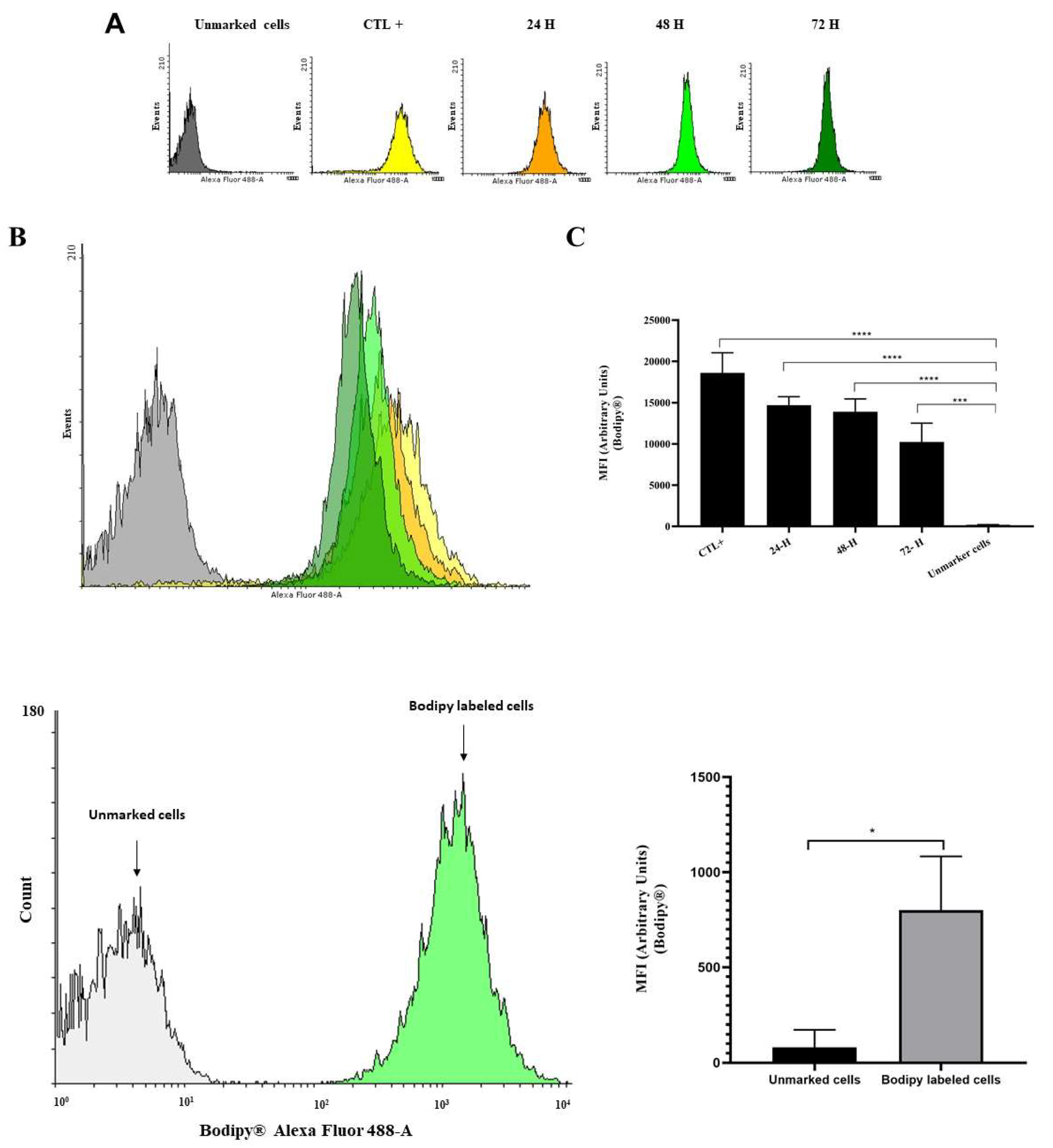 Preprints 81961 g004