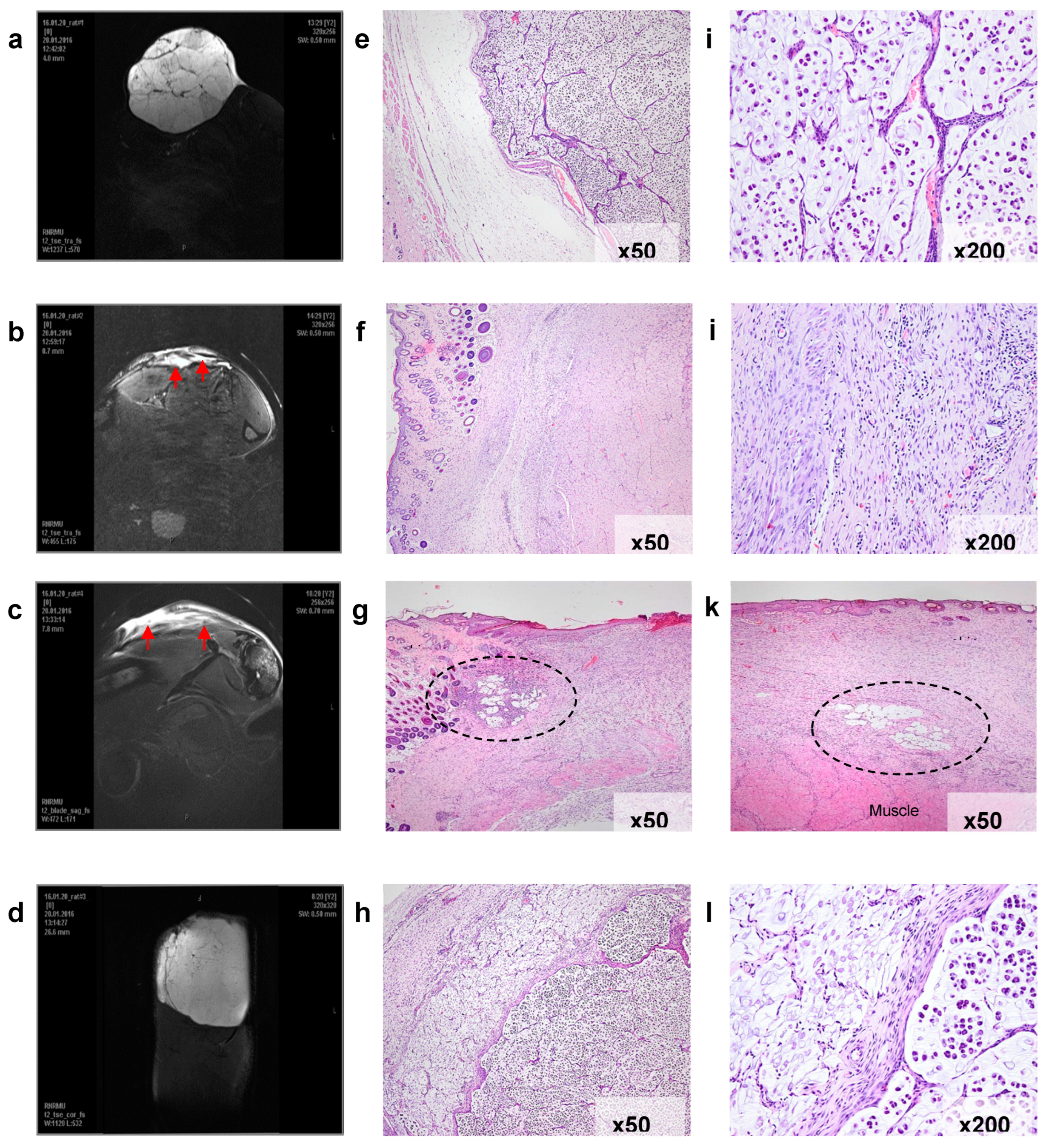 Preprints 90000 g010