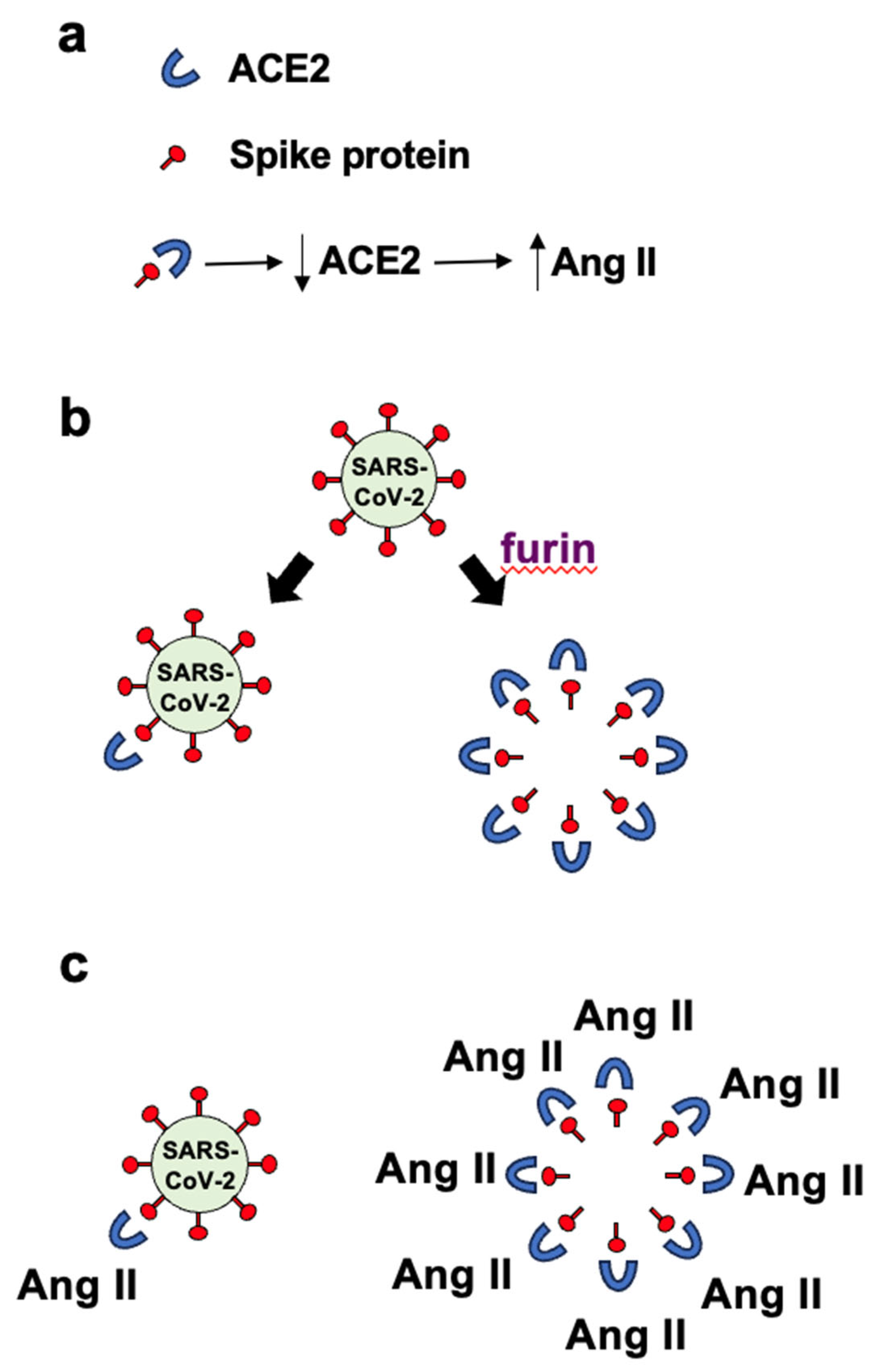 Preprints 98742 g001