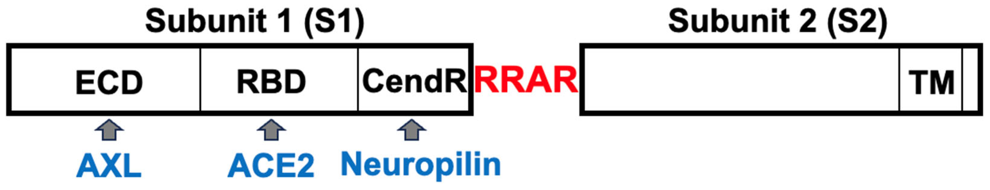 Preprints 98742 g002