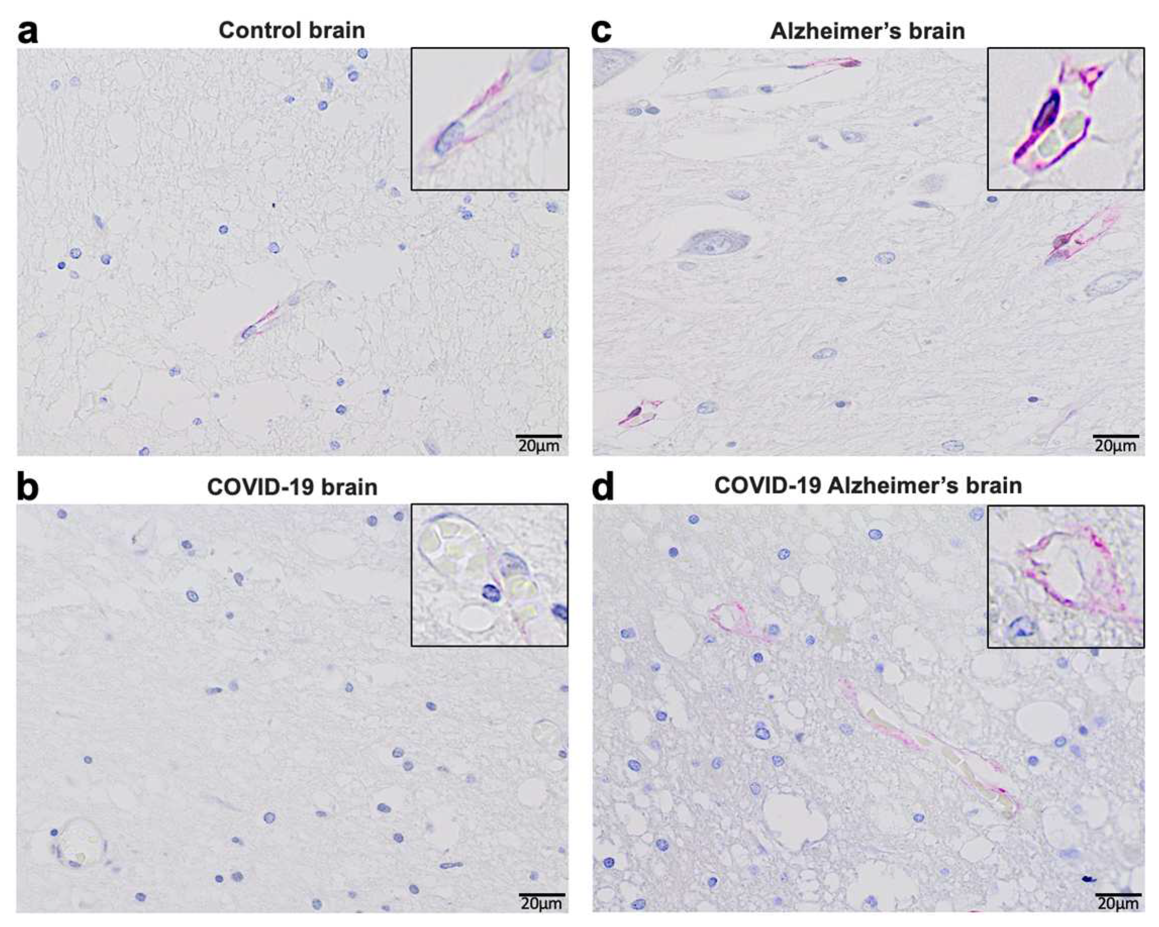 Preprints 98742 g003