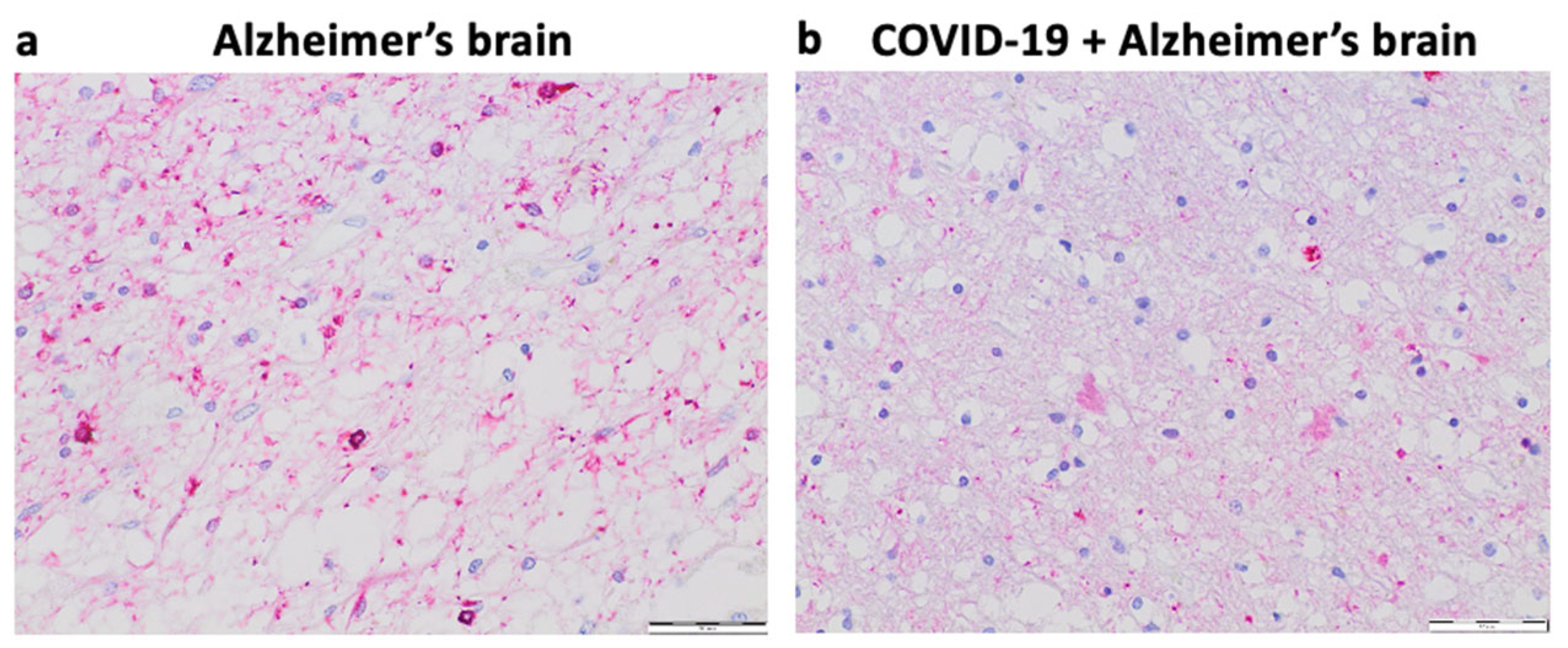 Preprints 98742 g004