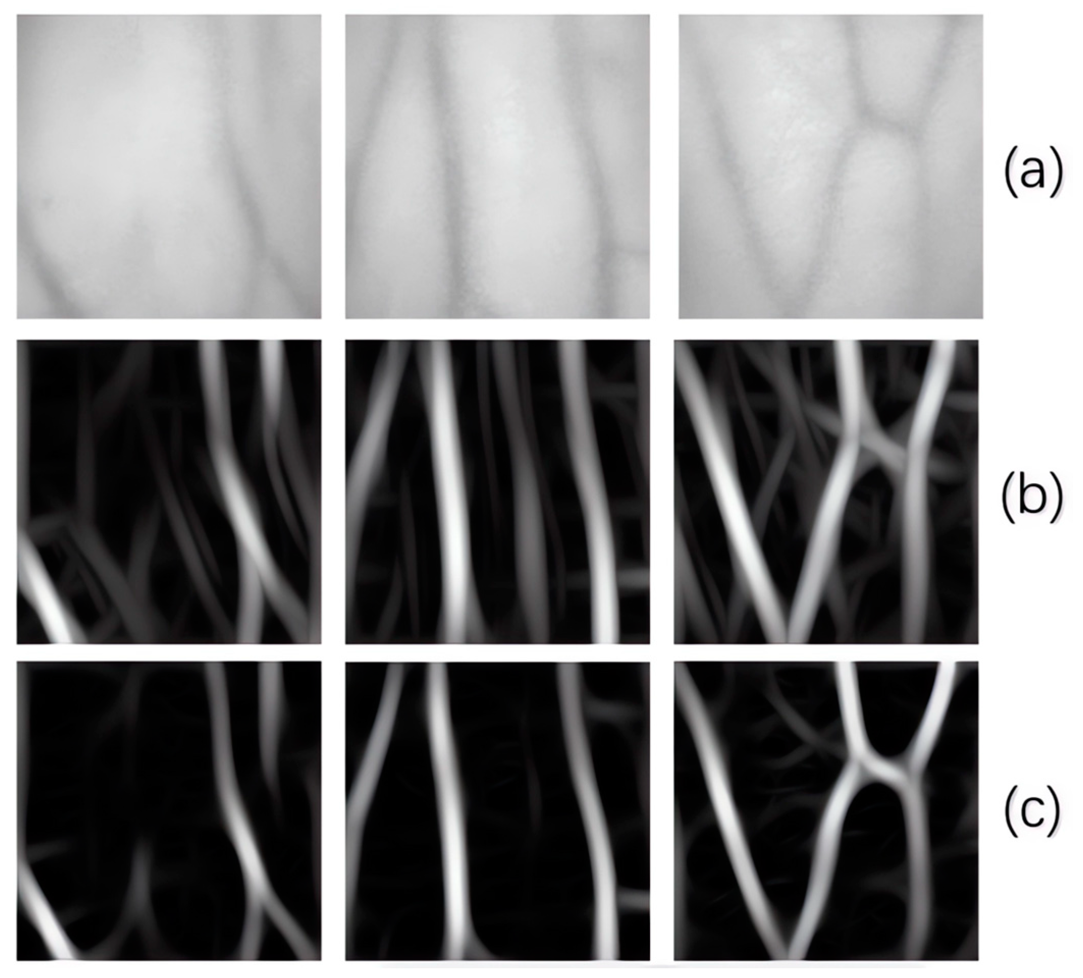 Preprints 83850 g008