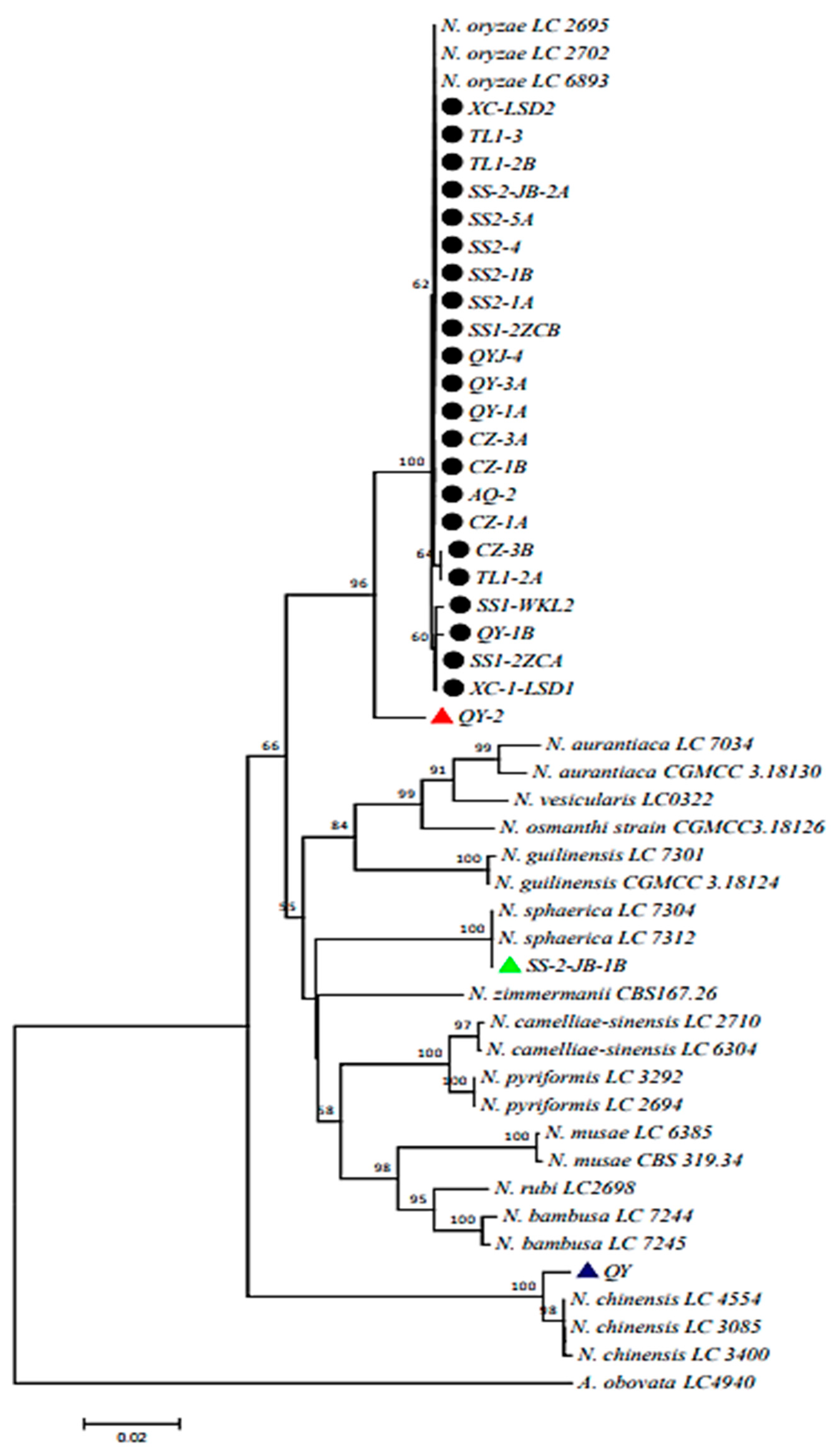 Preprints 95310 g002