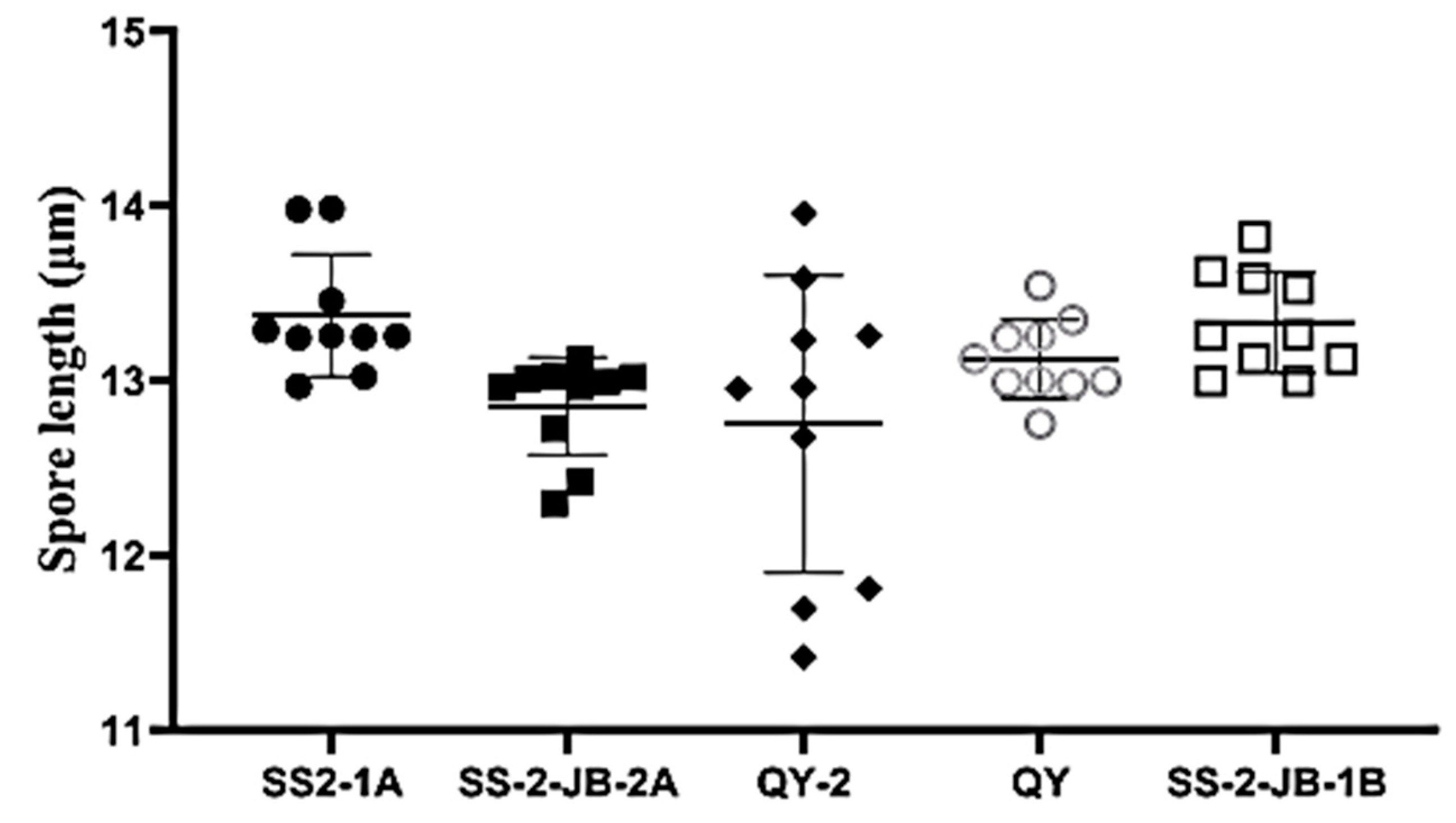 Preprints 95310 g004