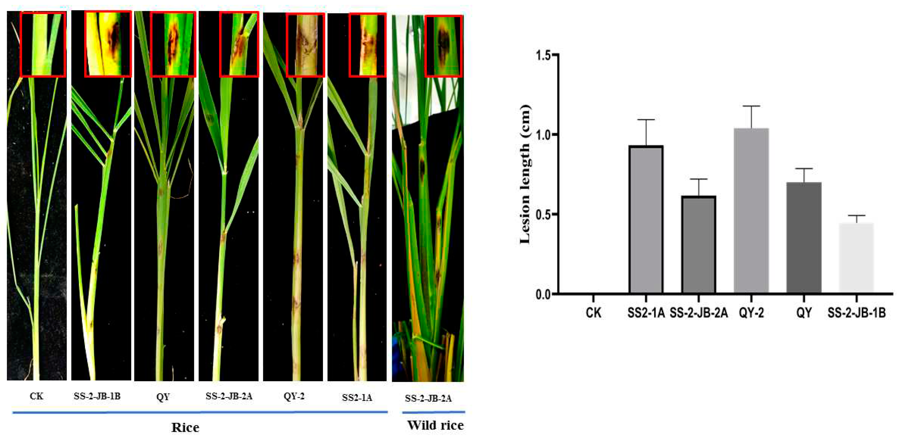 Preprints 95310 g006