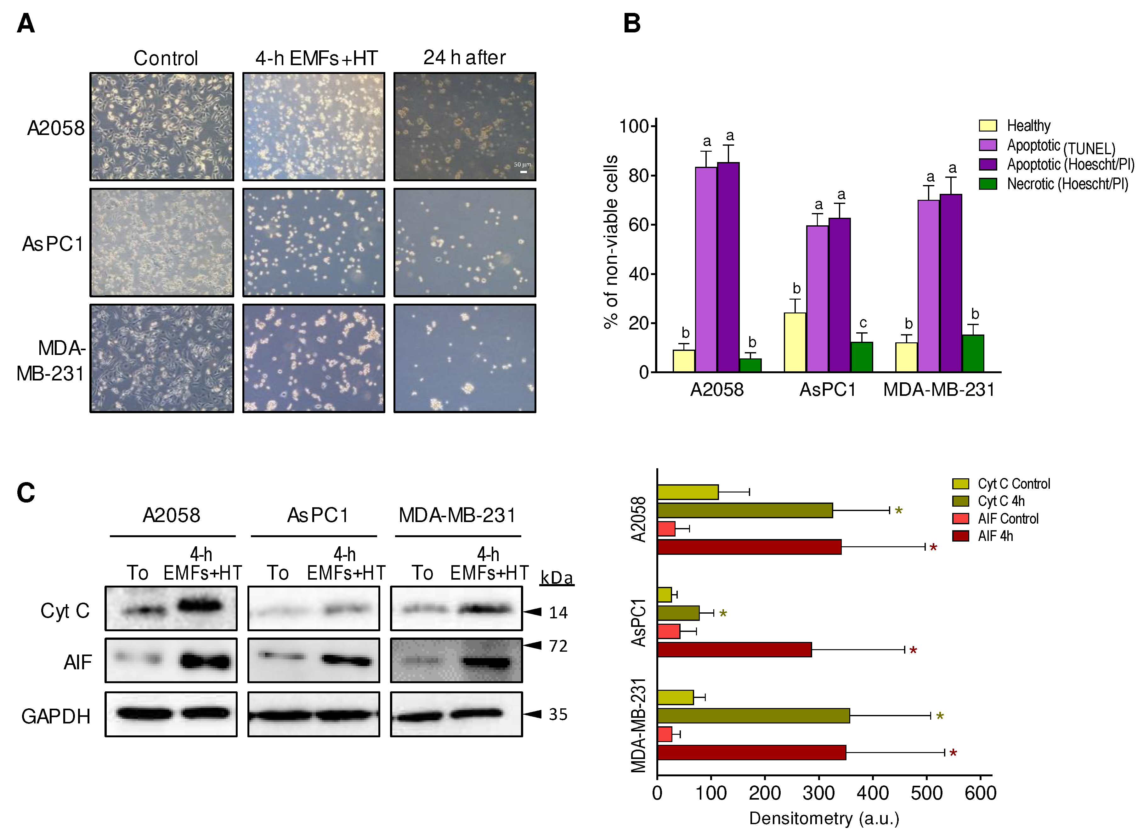 Preprints 72932 g003