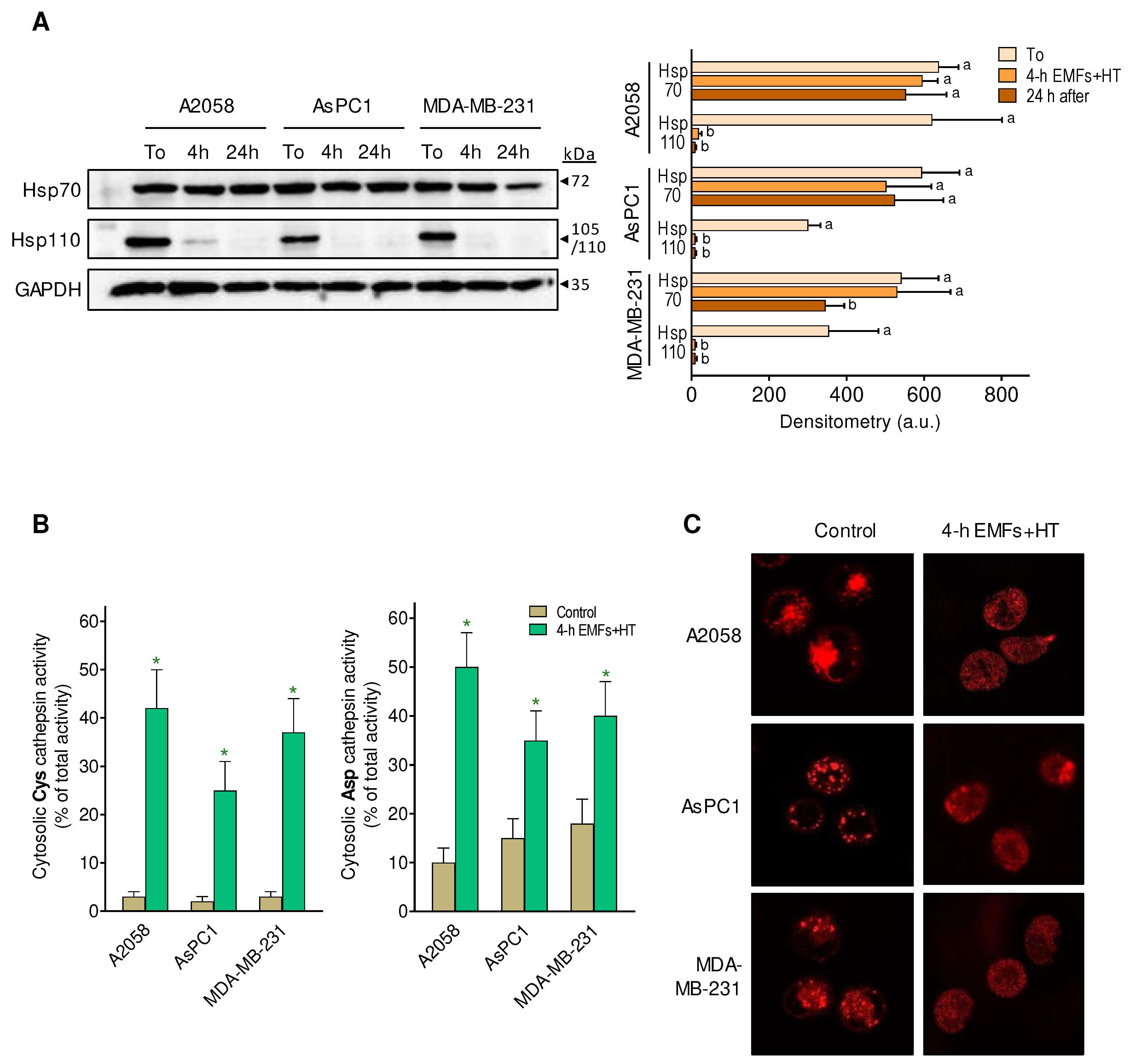 Preprints 72932 g004