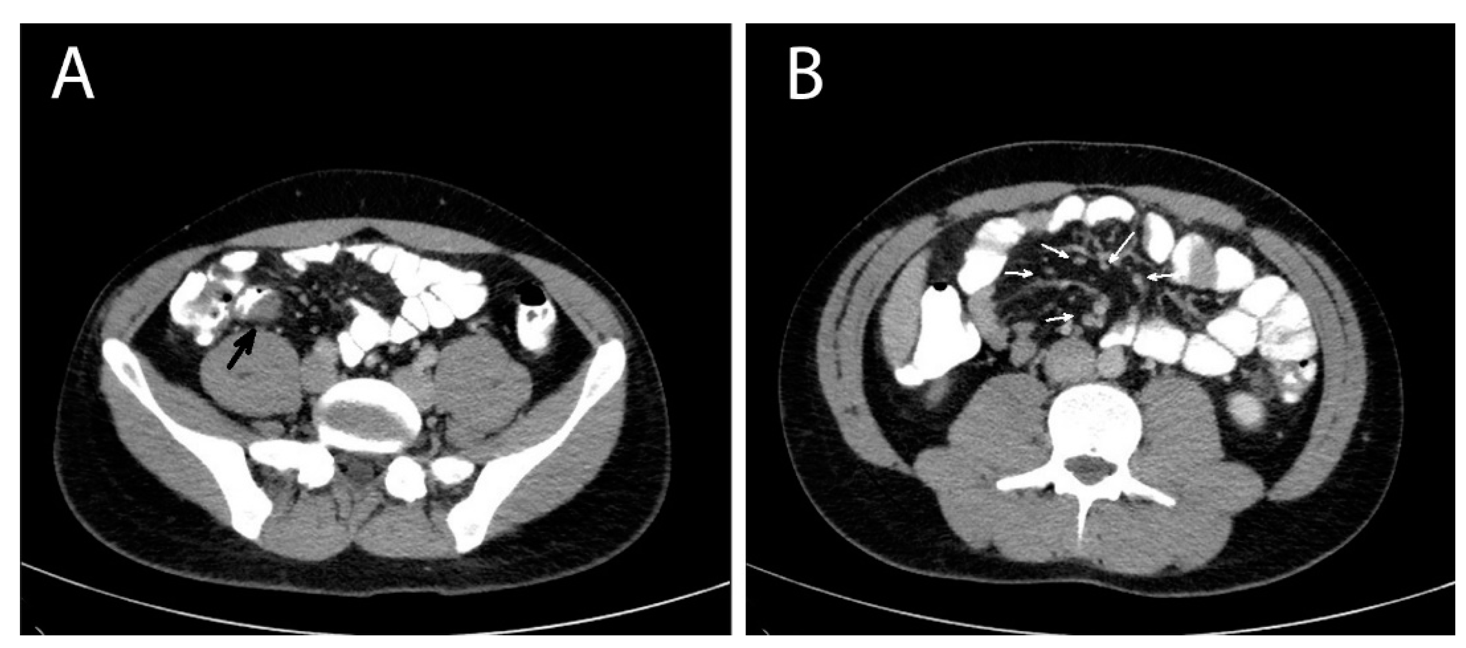 Preprints 95677 g001