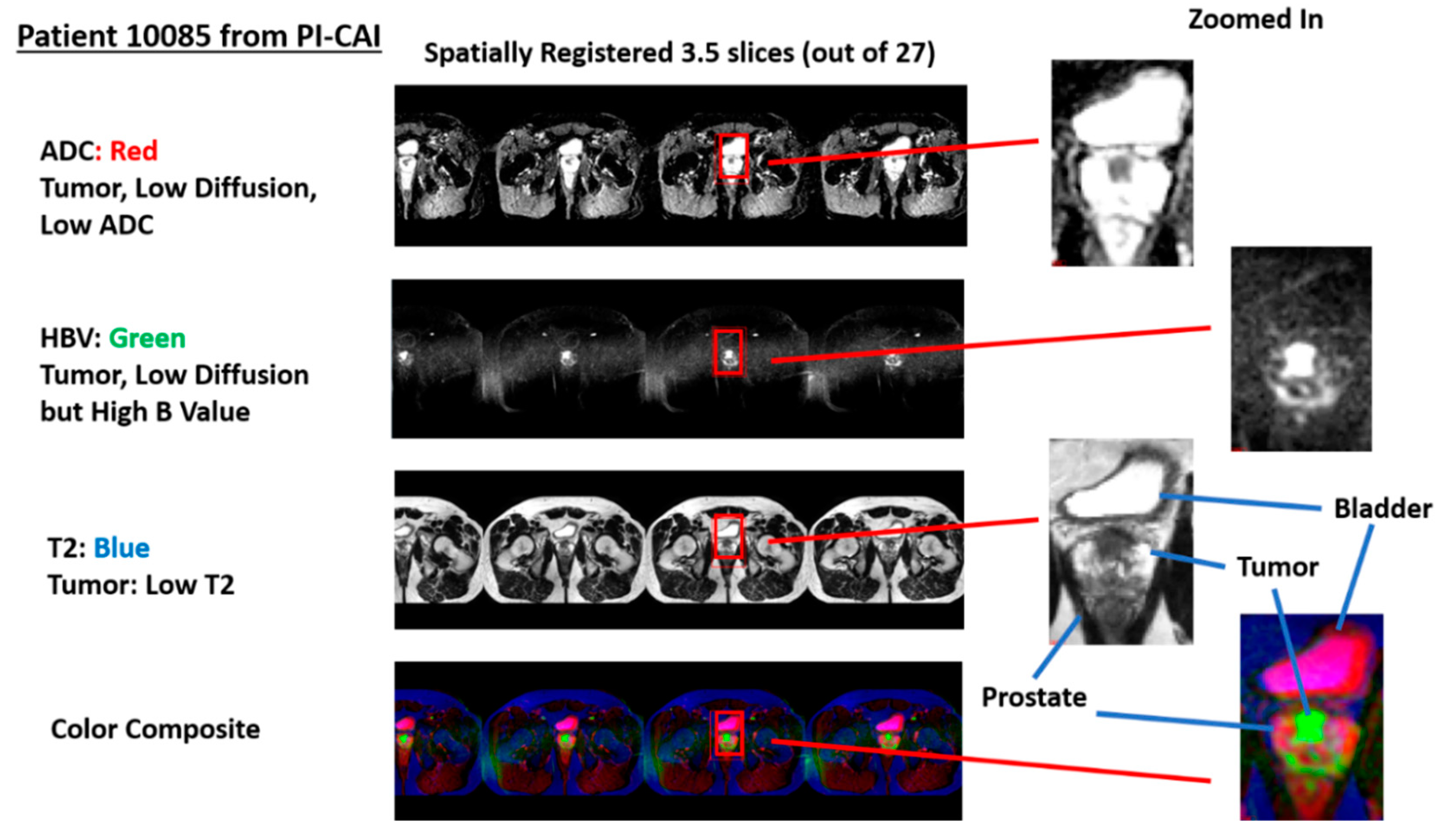 Preprints 73455 g002