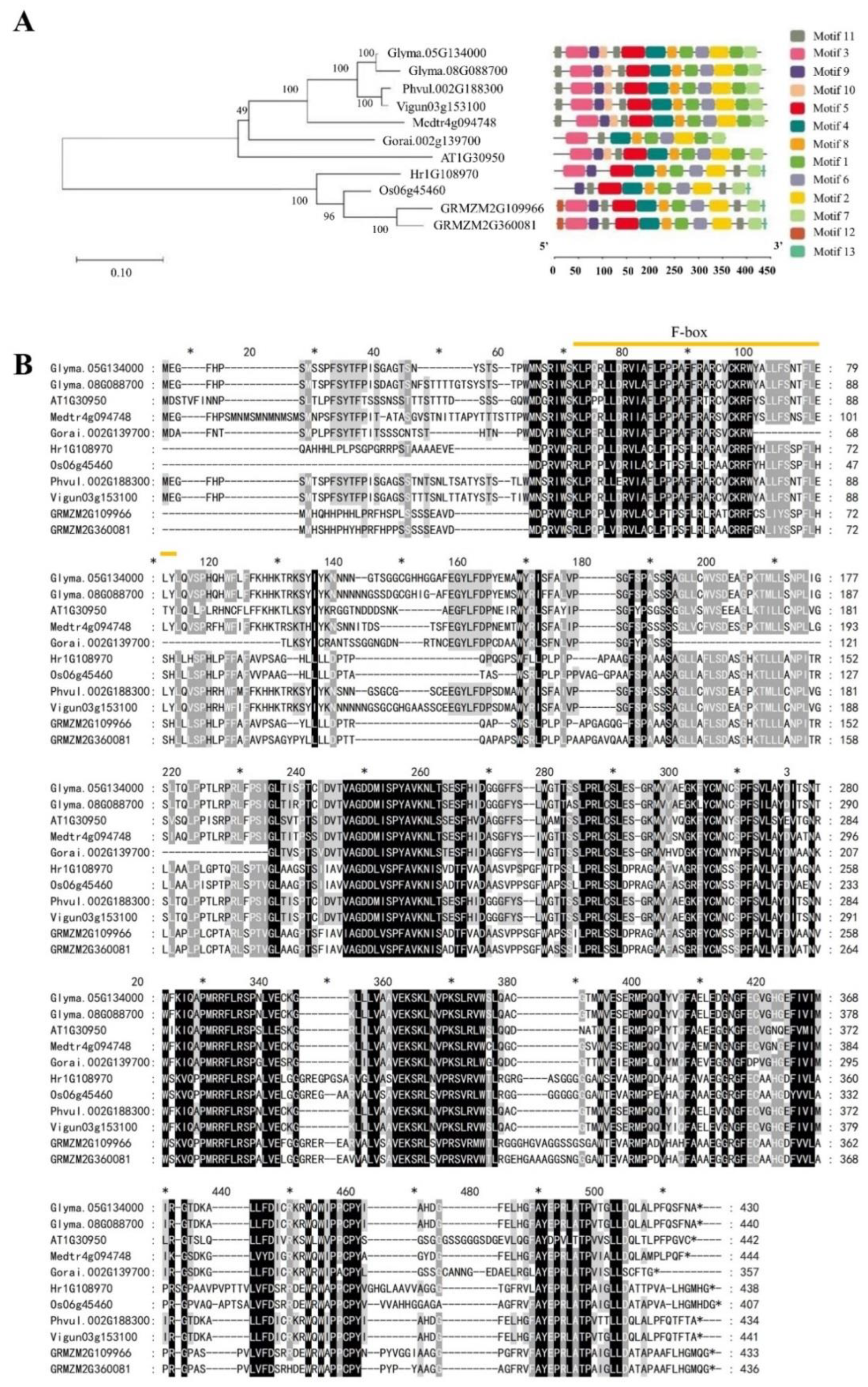 Preprints 70786 g001