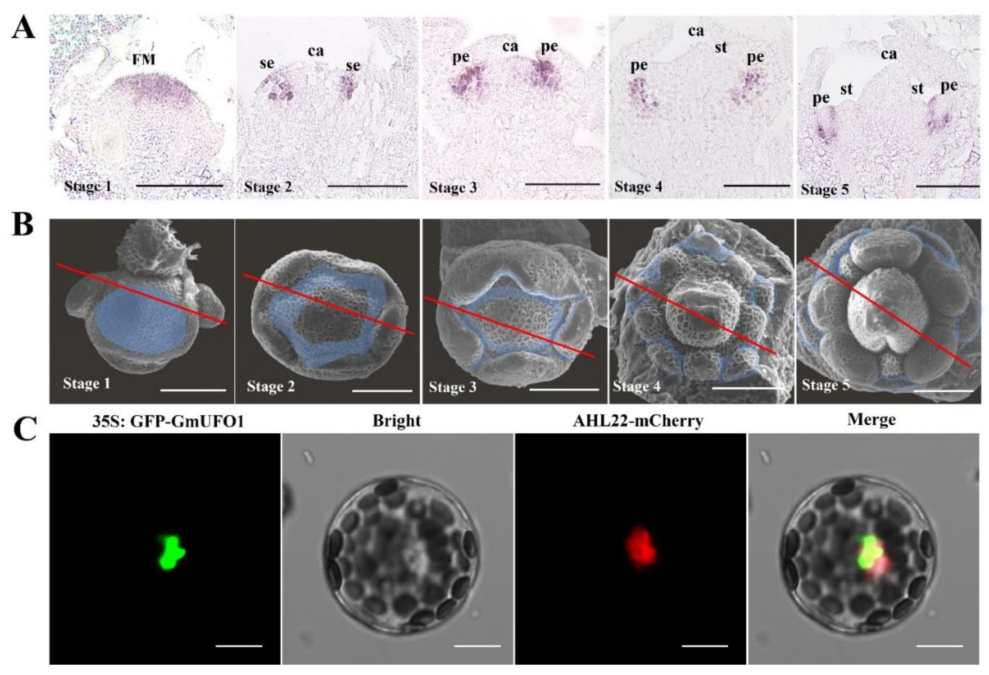 Preprints 70786 g002