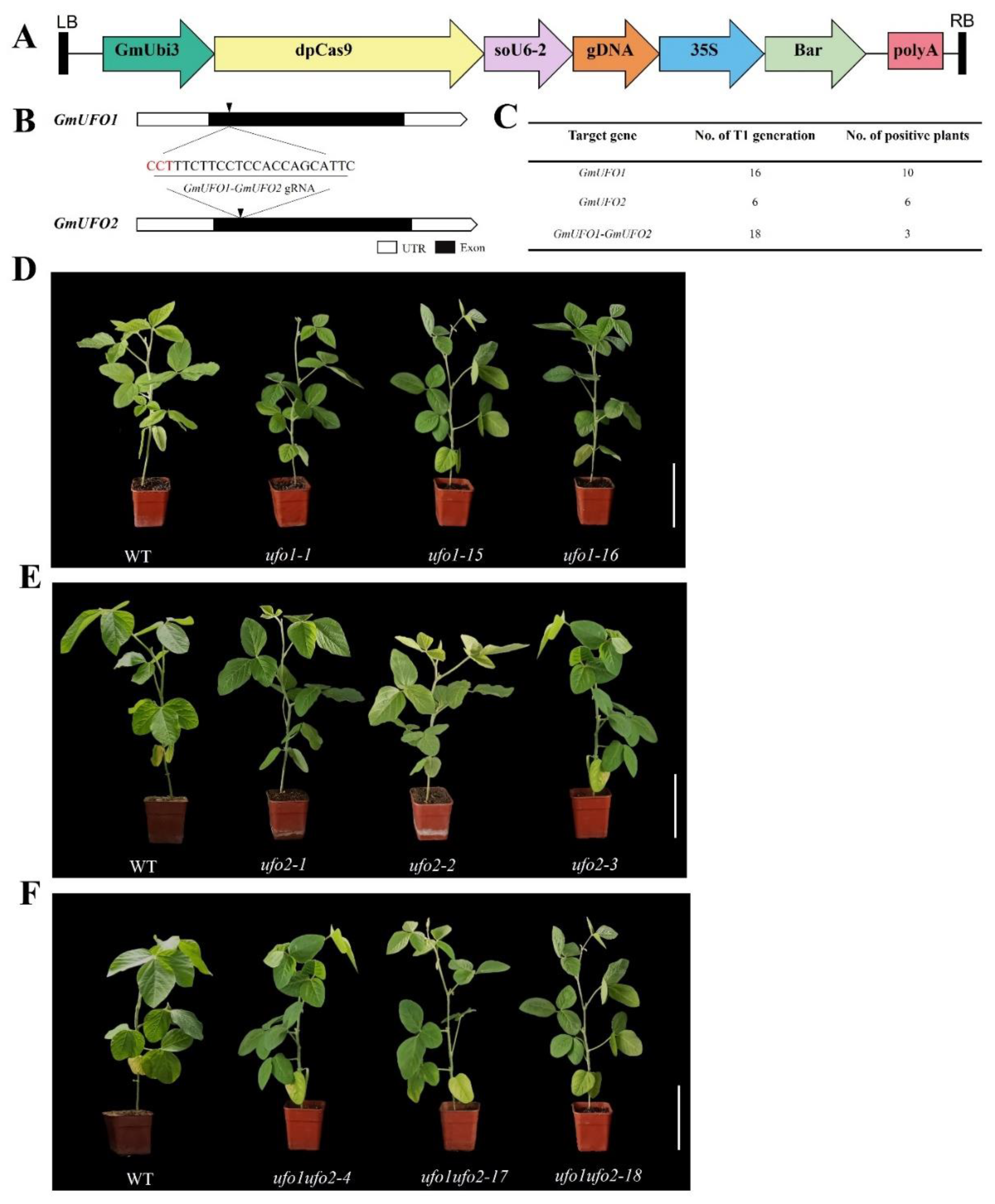 Preprints 70786 g003