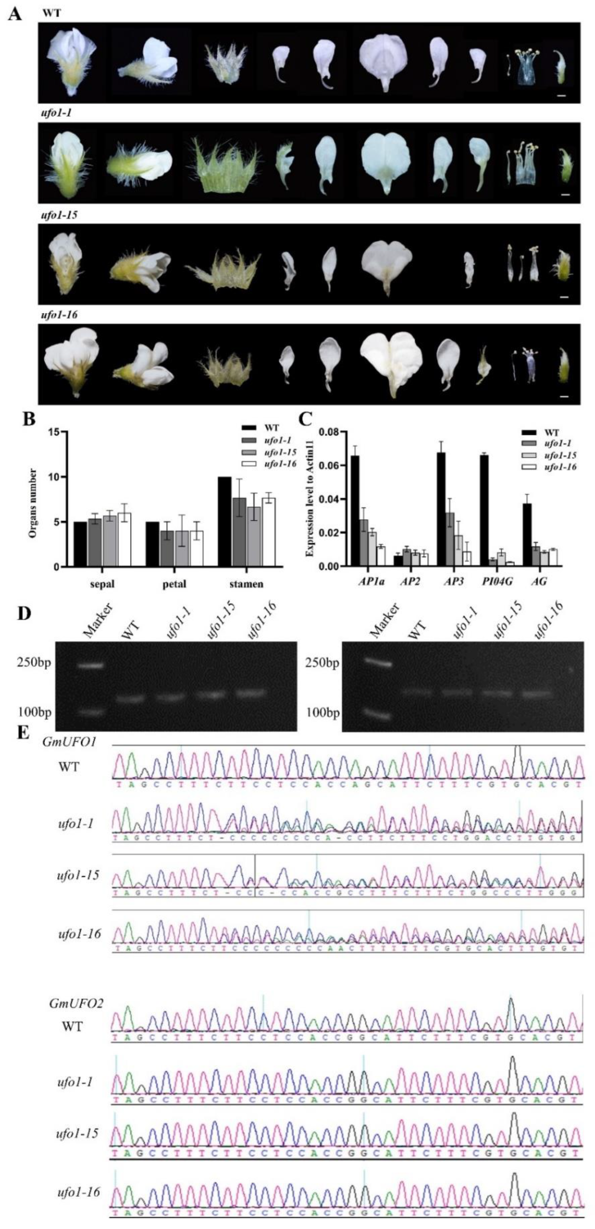 Preprints 70786 g004