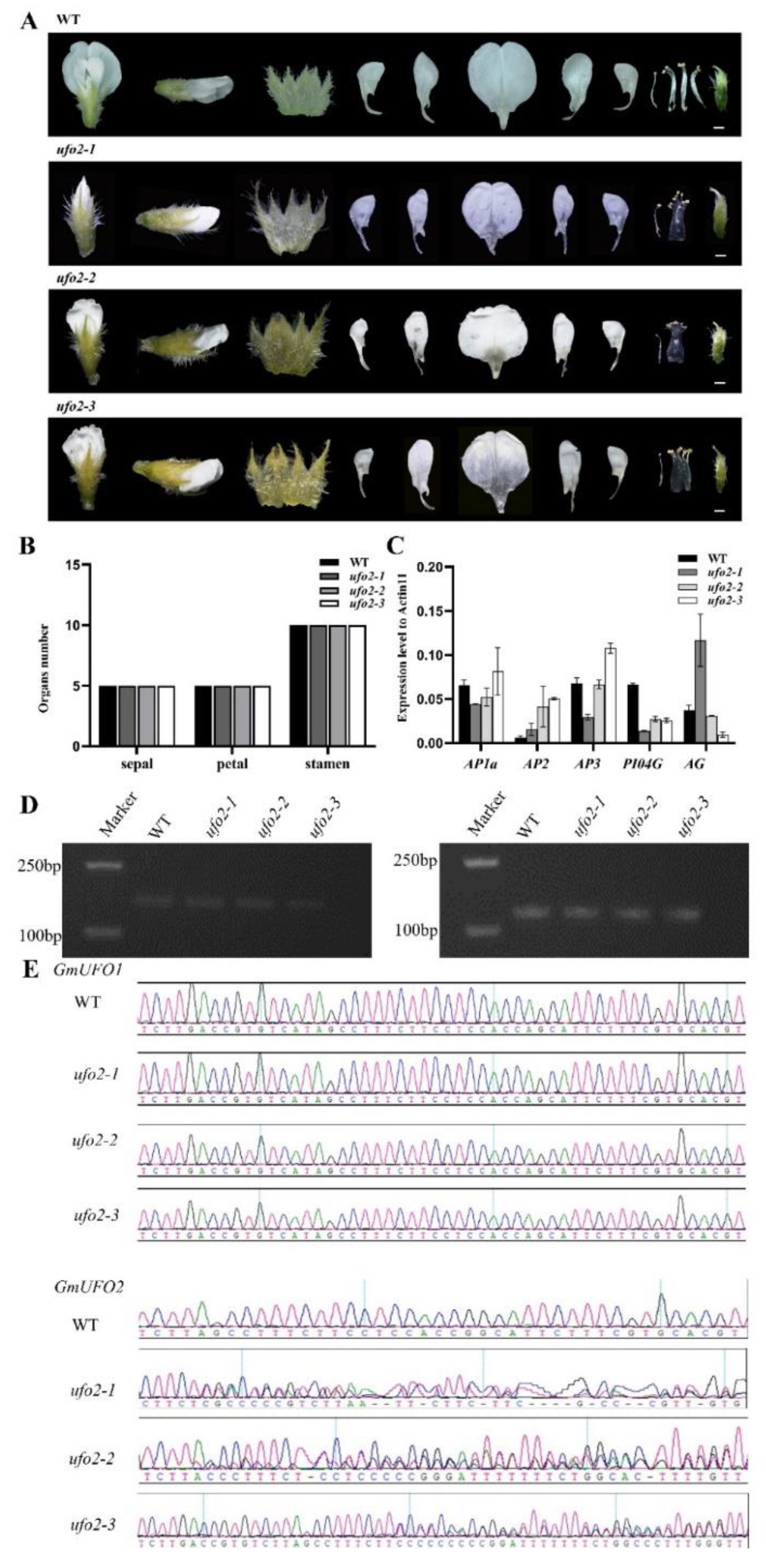 Preprints 70786 g005