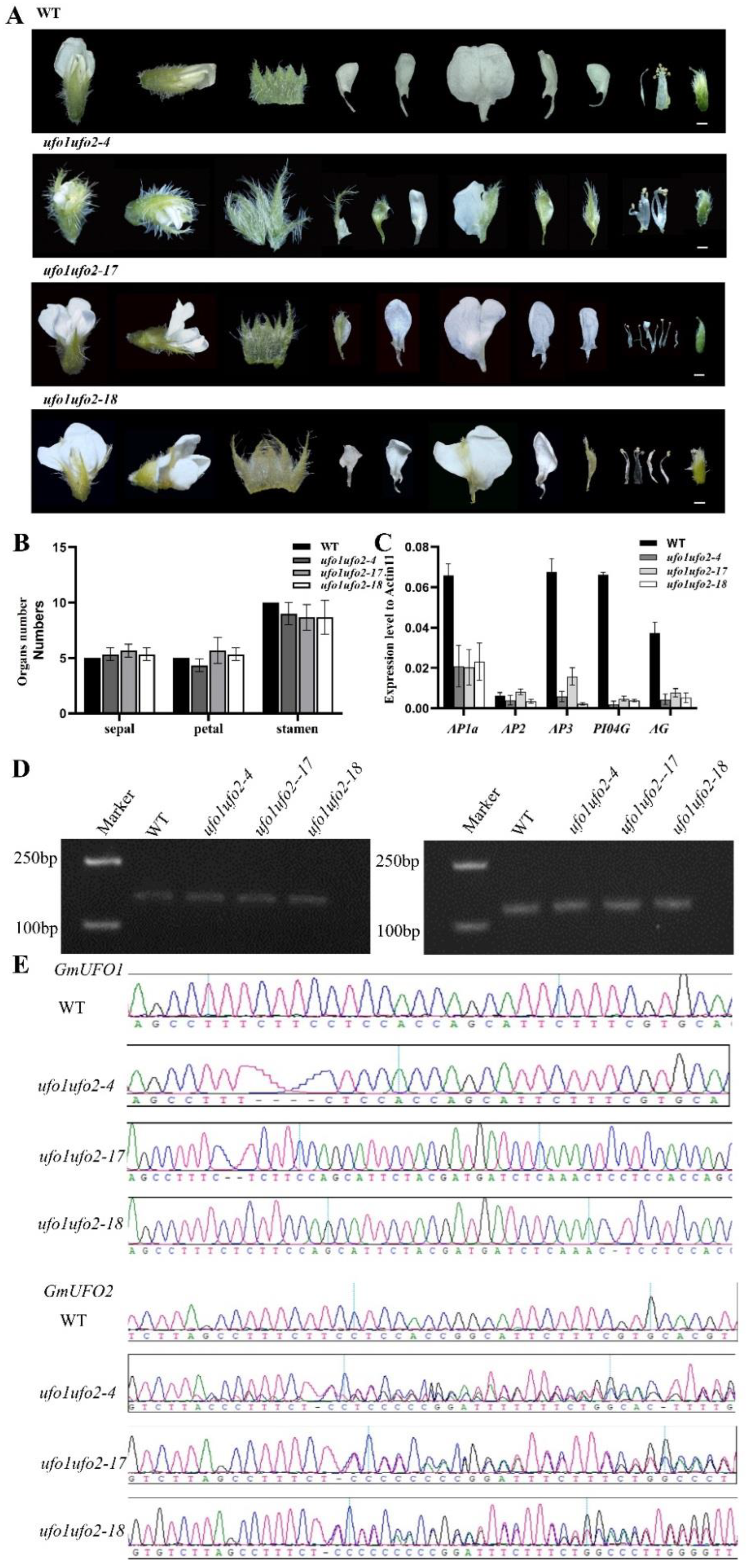 Preprints 70786 g006