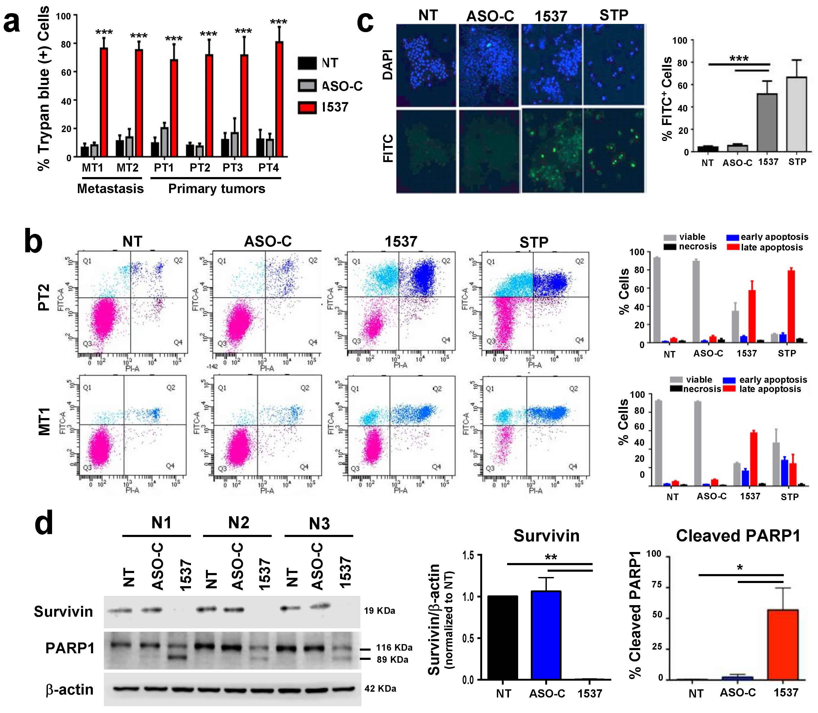 Preprints 95301 g002