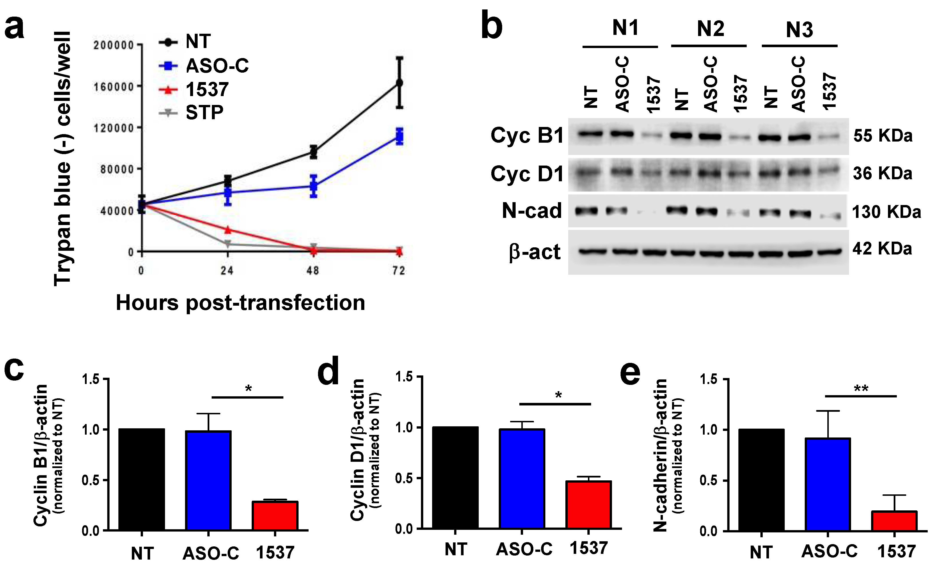 Preprints 95301 g003