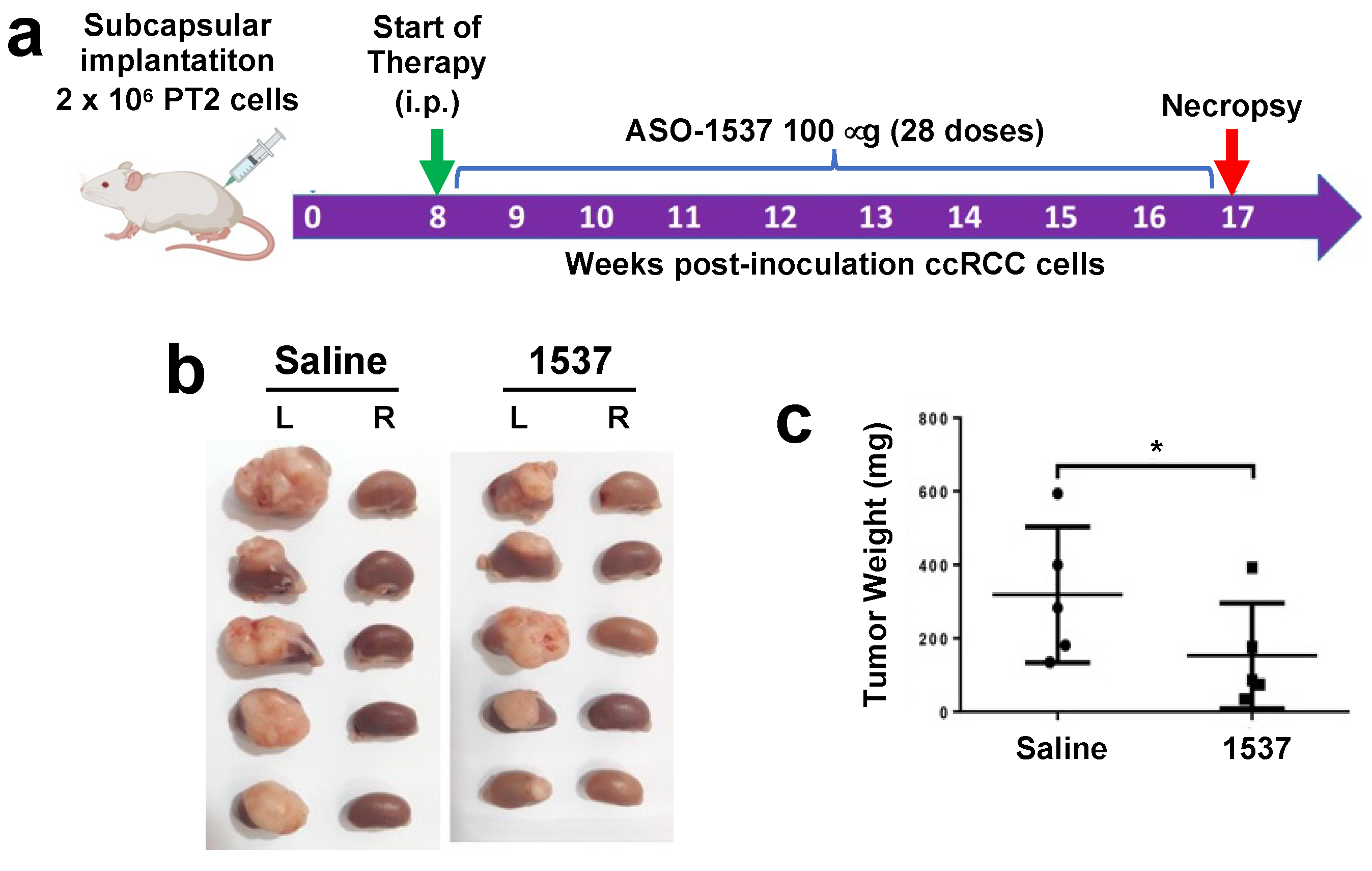 Preprints 95301 g004