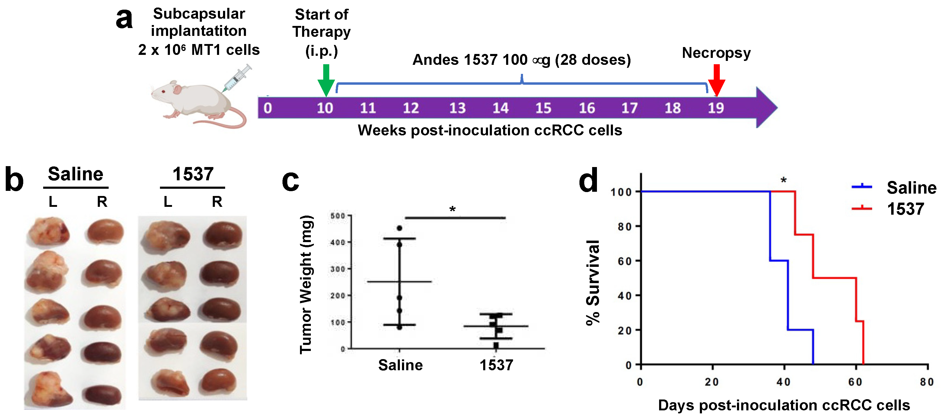 Preprints 95301 g005