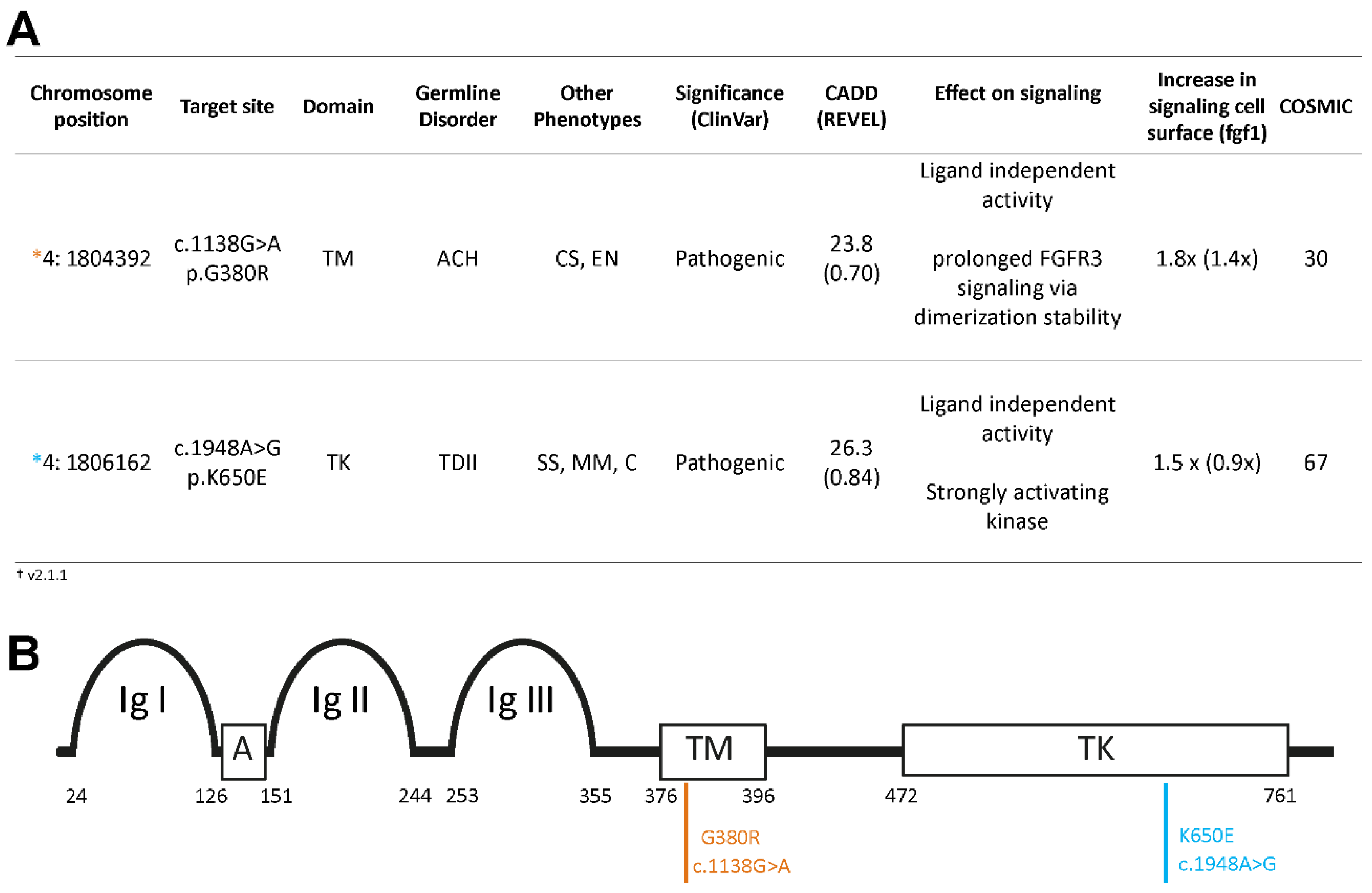 Preprints 95419 g001