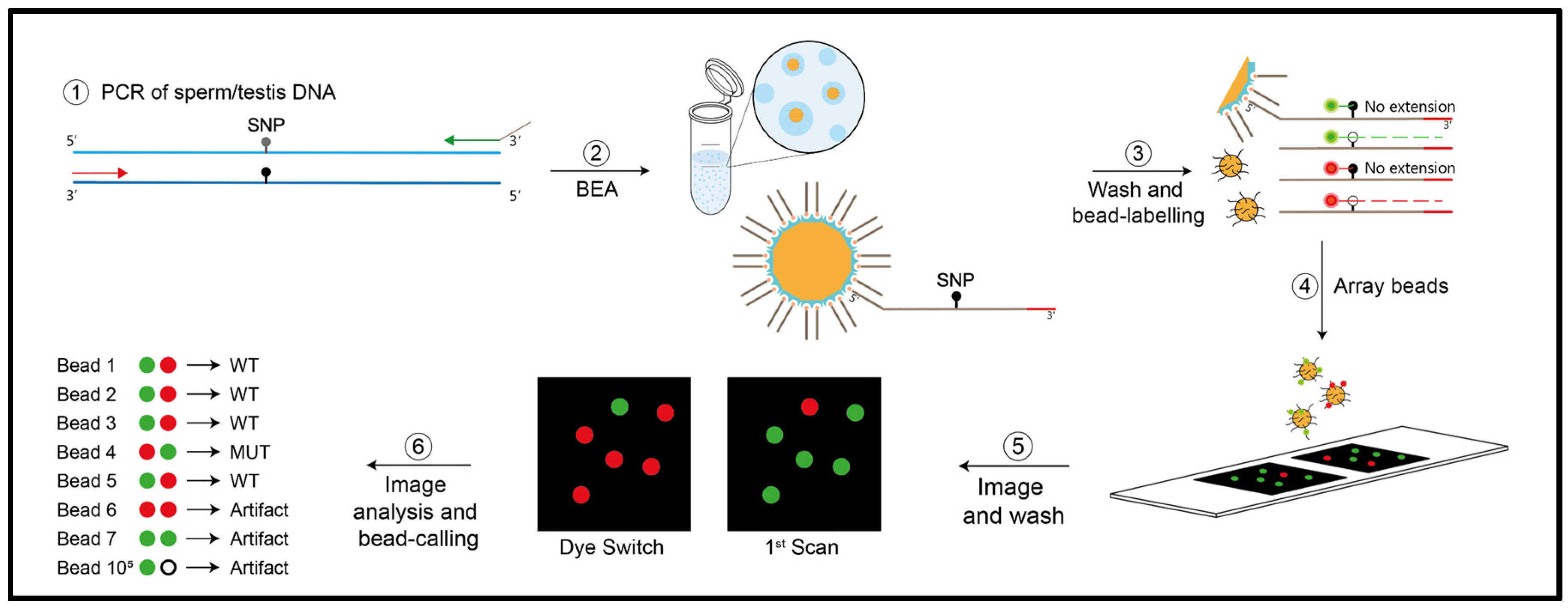 Preprints 95419 g002